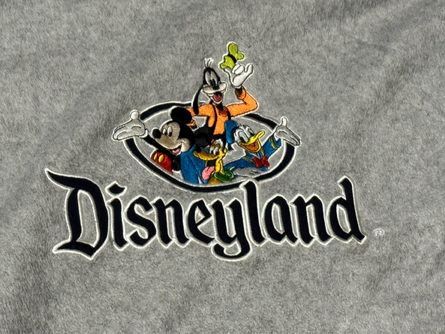 Grey Disneyland Resort Hoodie - photo 2