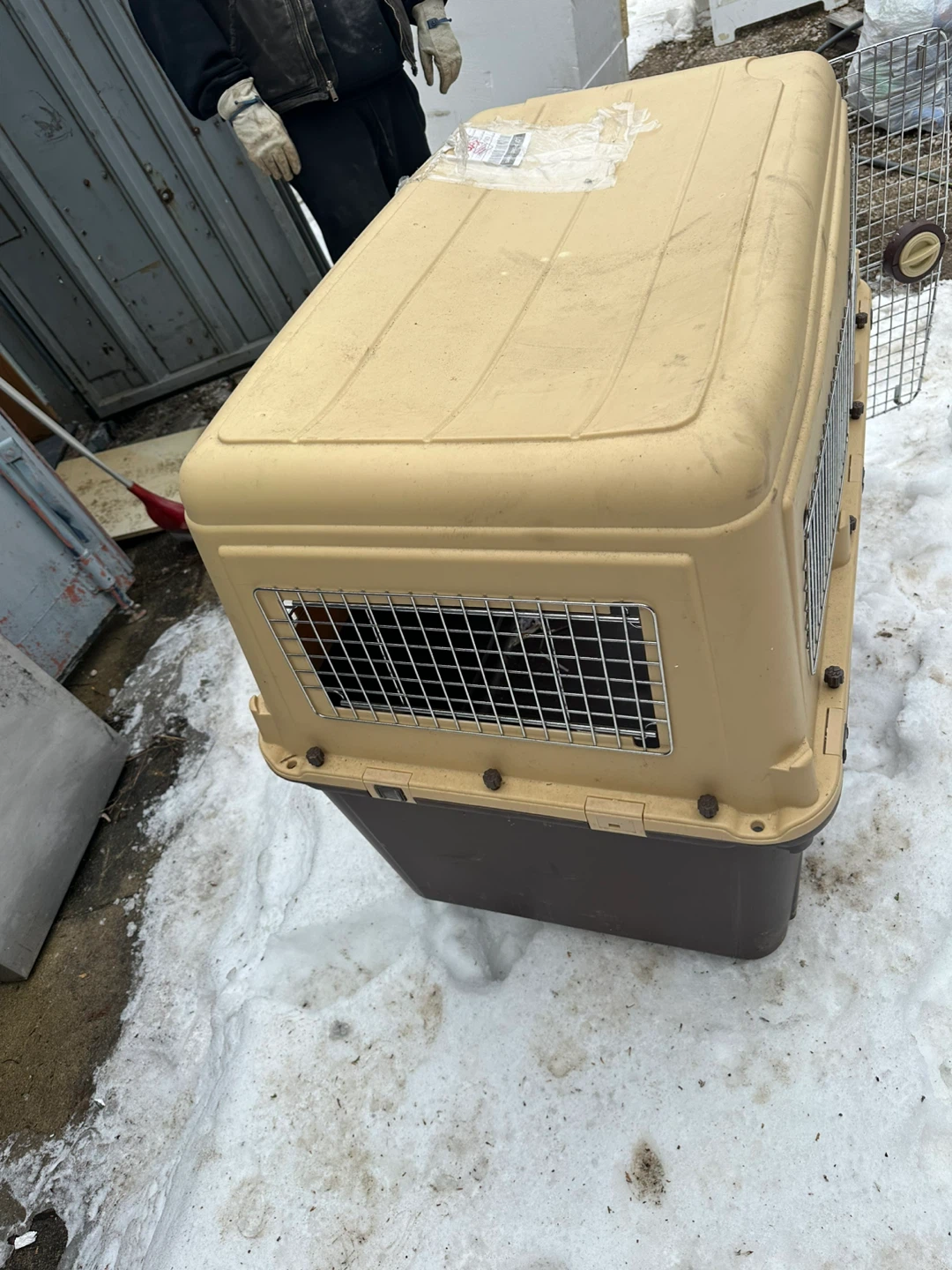 Pet Carrier Crate - photo 3