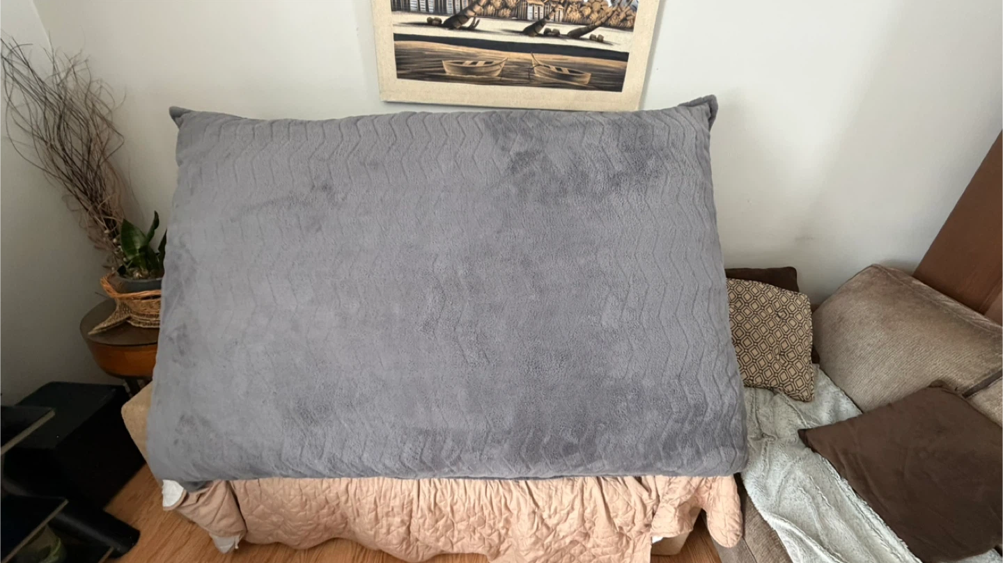 XL Double Bean bag bed