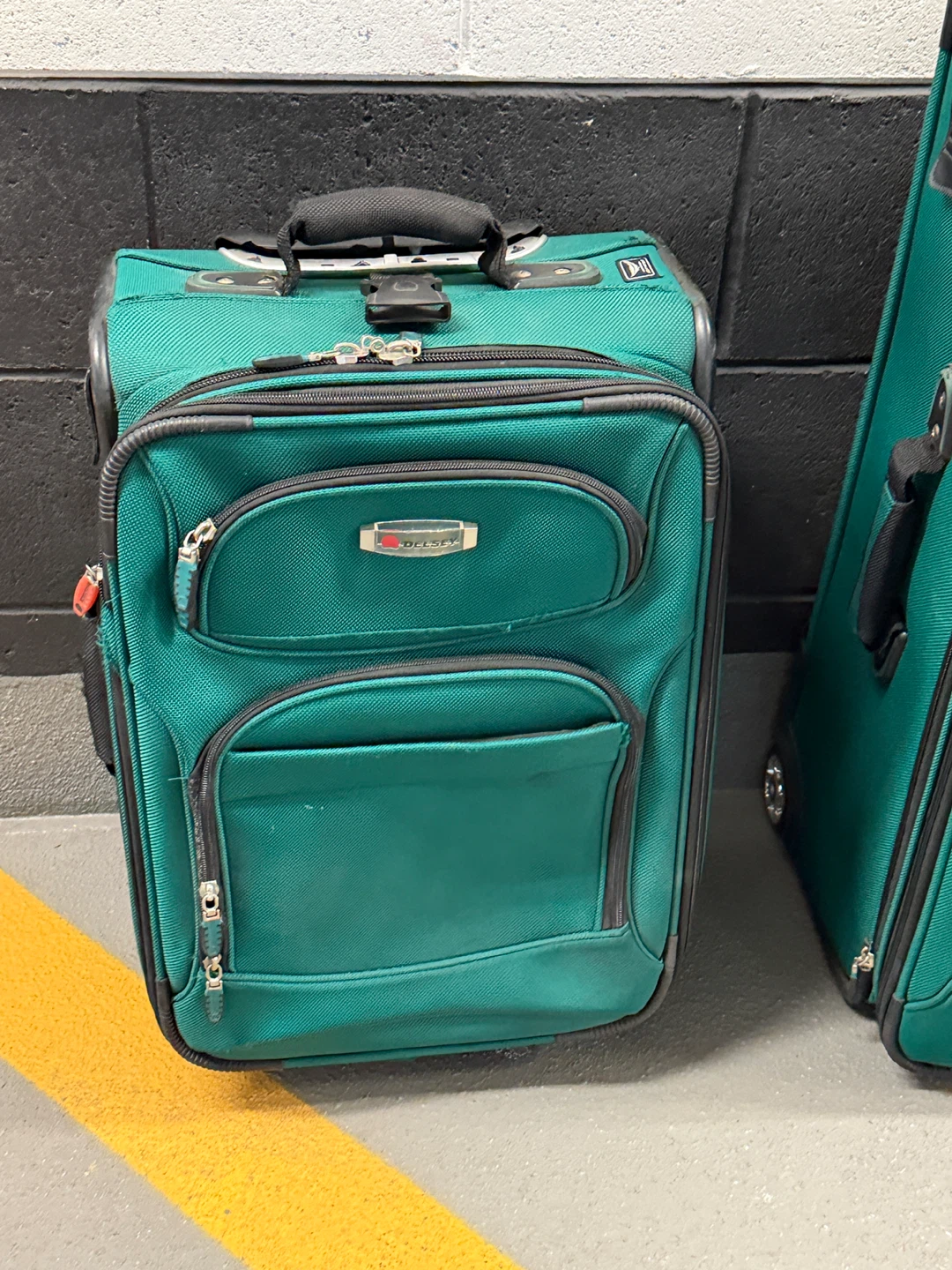 Delsey Luggage Set - Green