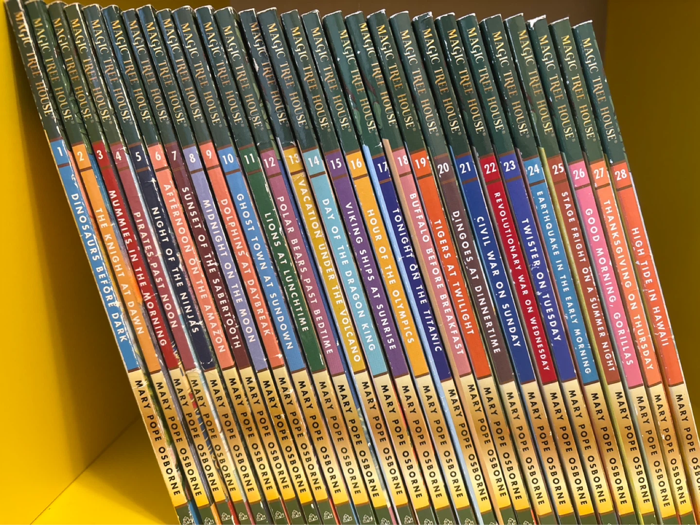 Magic Tree House Books 1-28