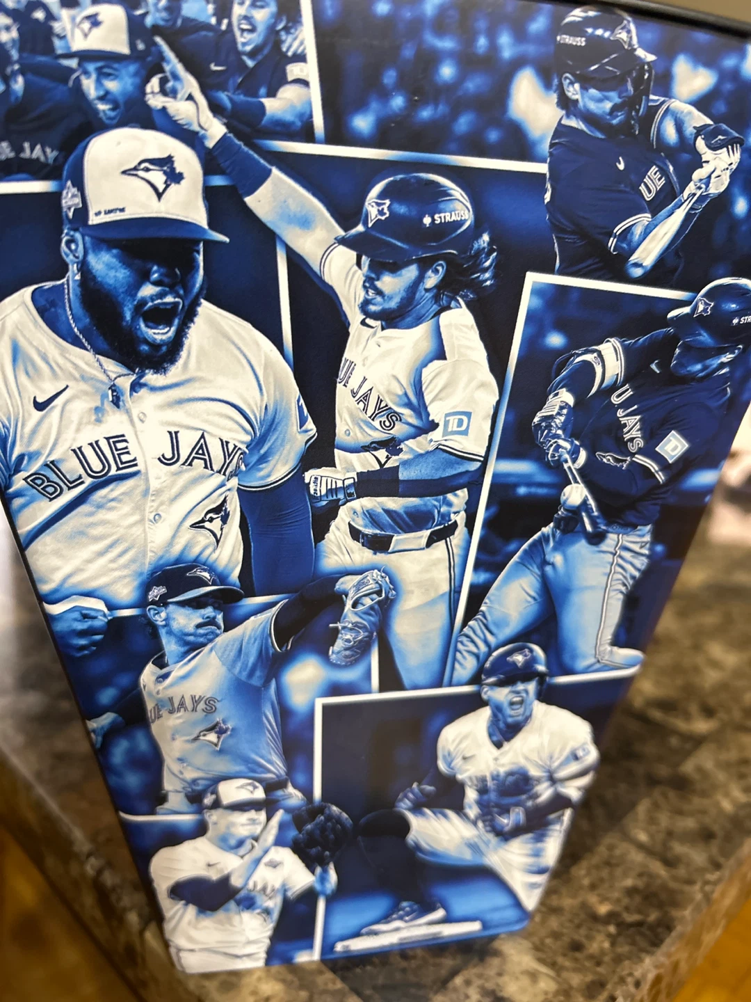 New- Toronto Blue Jays American League Champions 2025 Container
