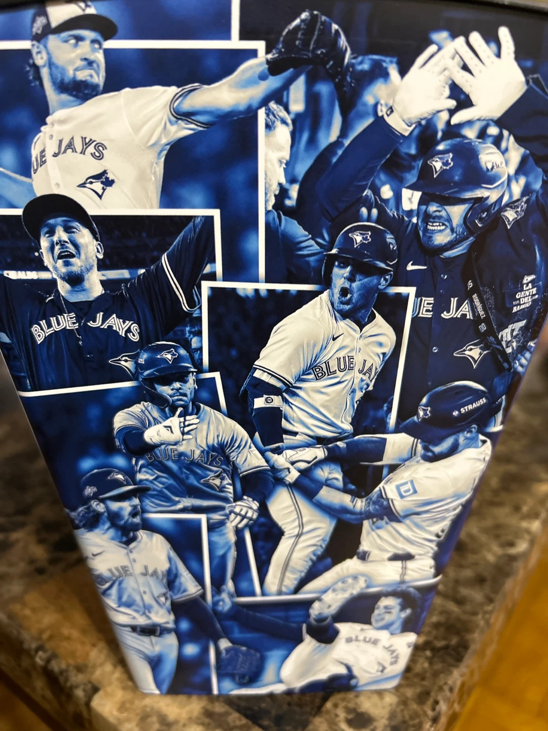 New- Toronto Blue Jays American League Champions 2025 Container - photo 3