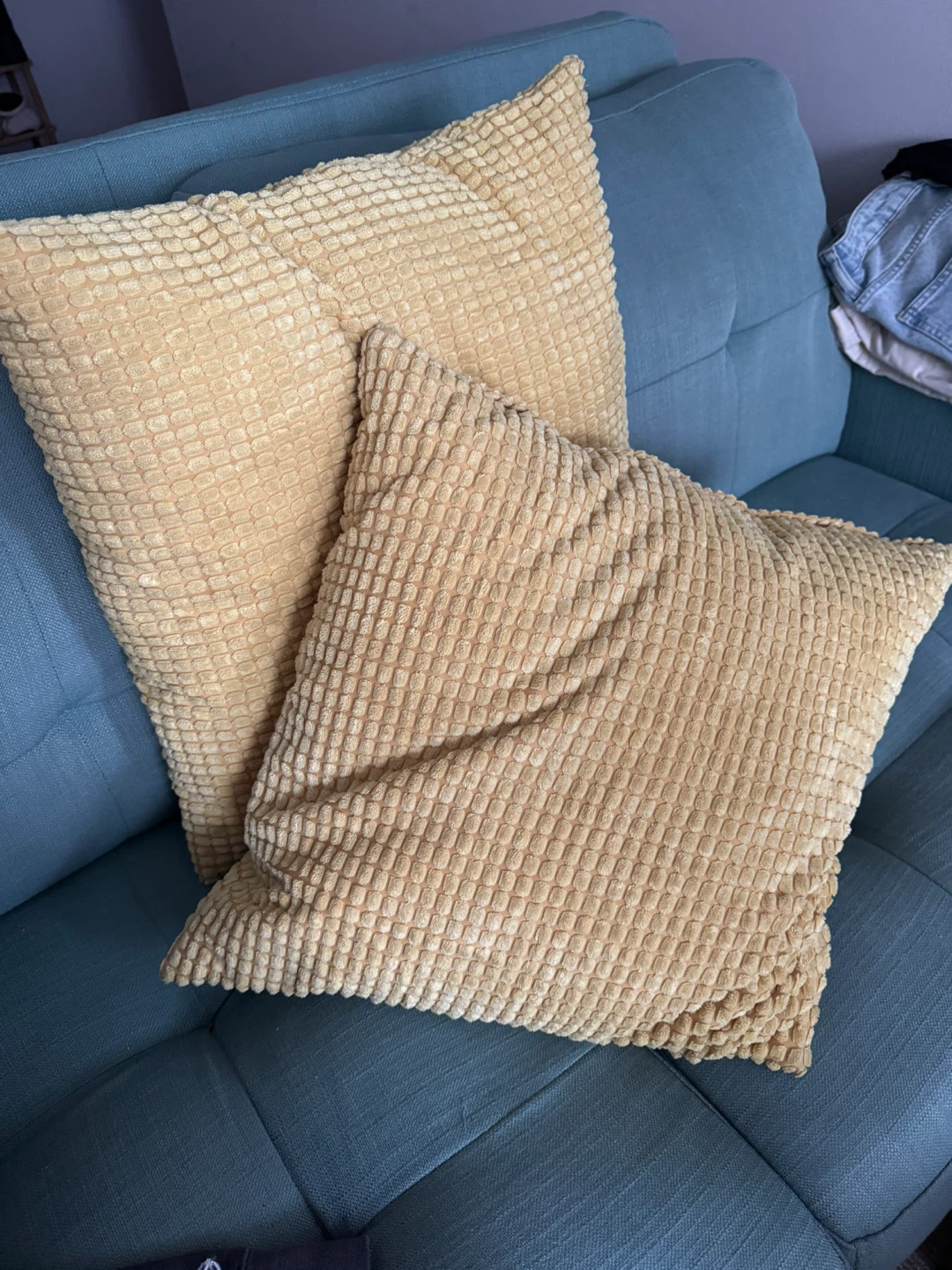 Two Textured Throw Pillows