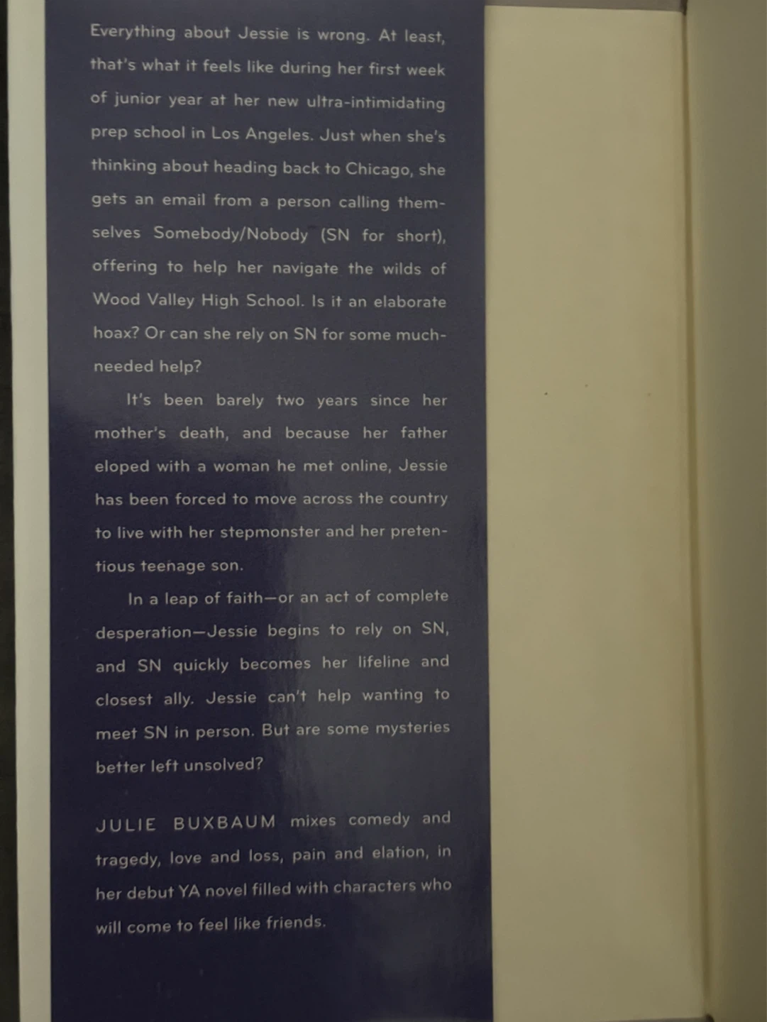 Tell Me Three Things by Julie Buxbaum - Book - photo 3