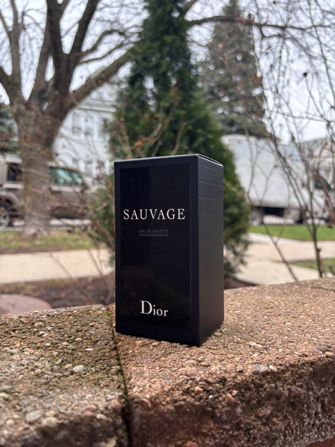 Dior Sauvage Eau de Toilette