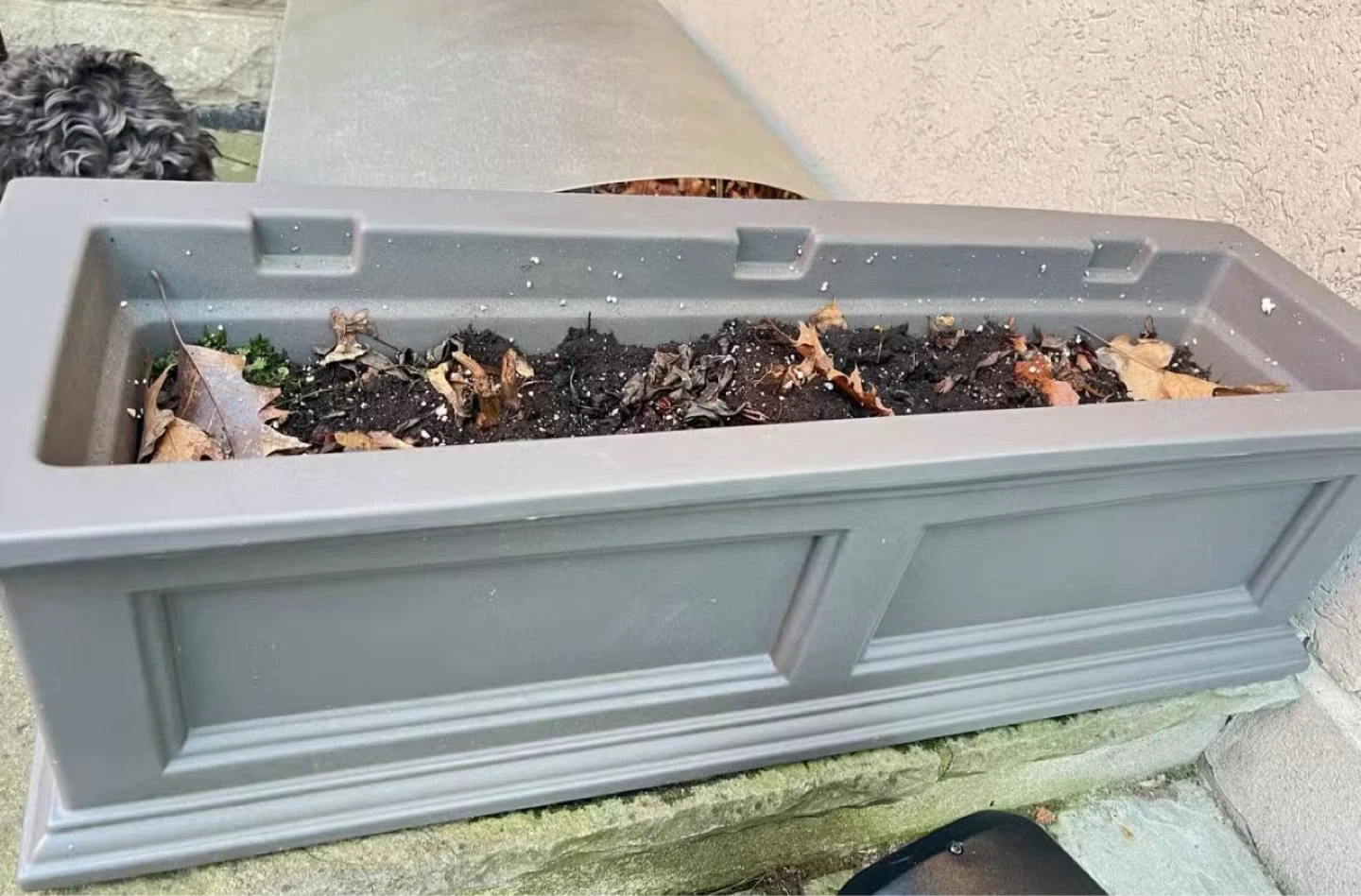 Grey Rectangular Planter Box