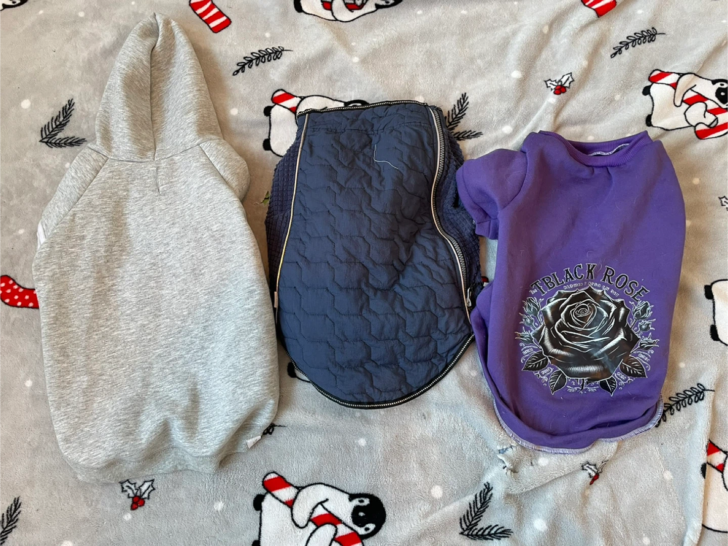 18” Dog Jacket & Sweaters