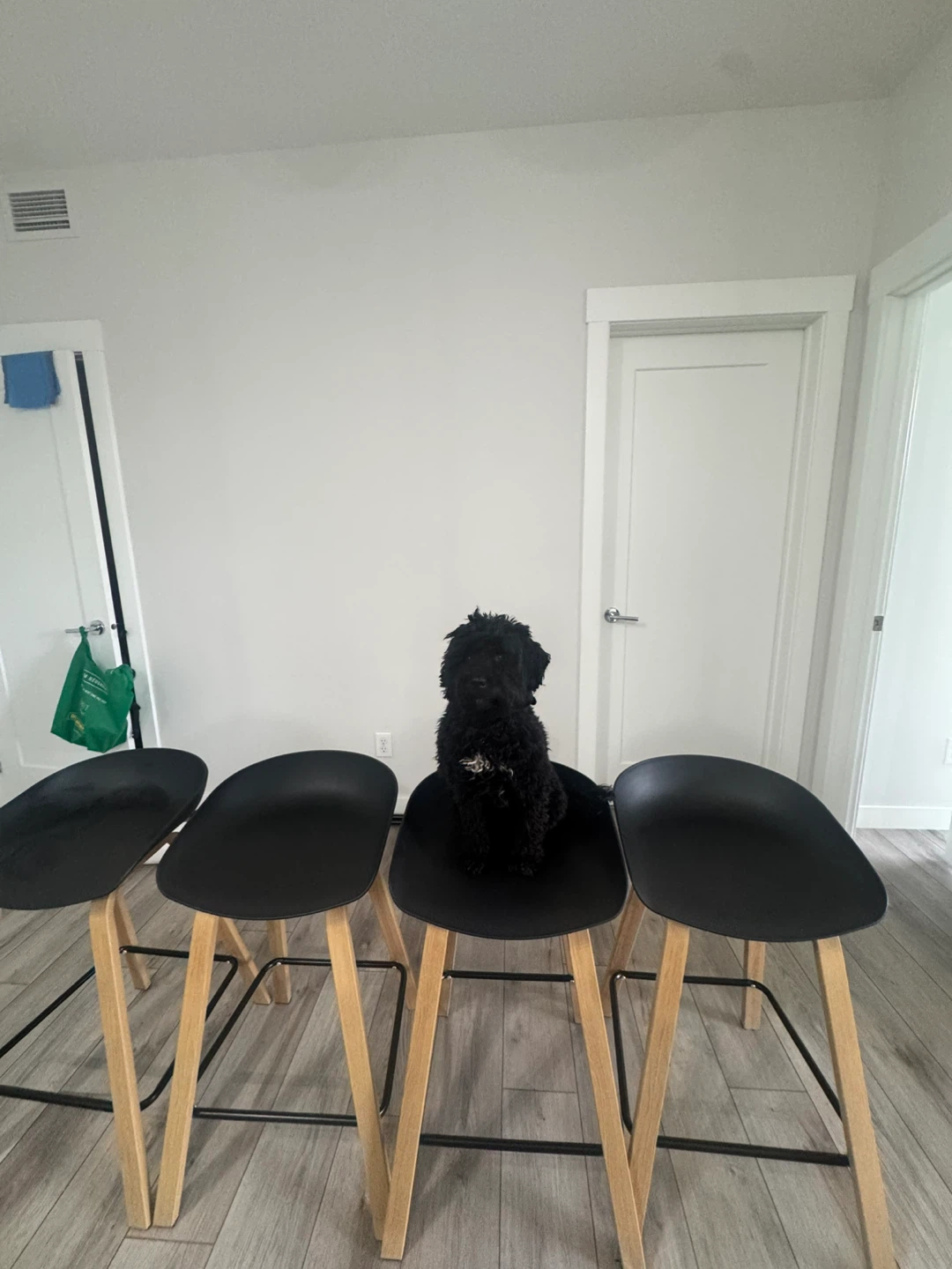 Set of 4 Black Bar Stools - photo 4