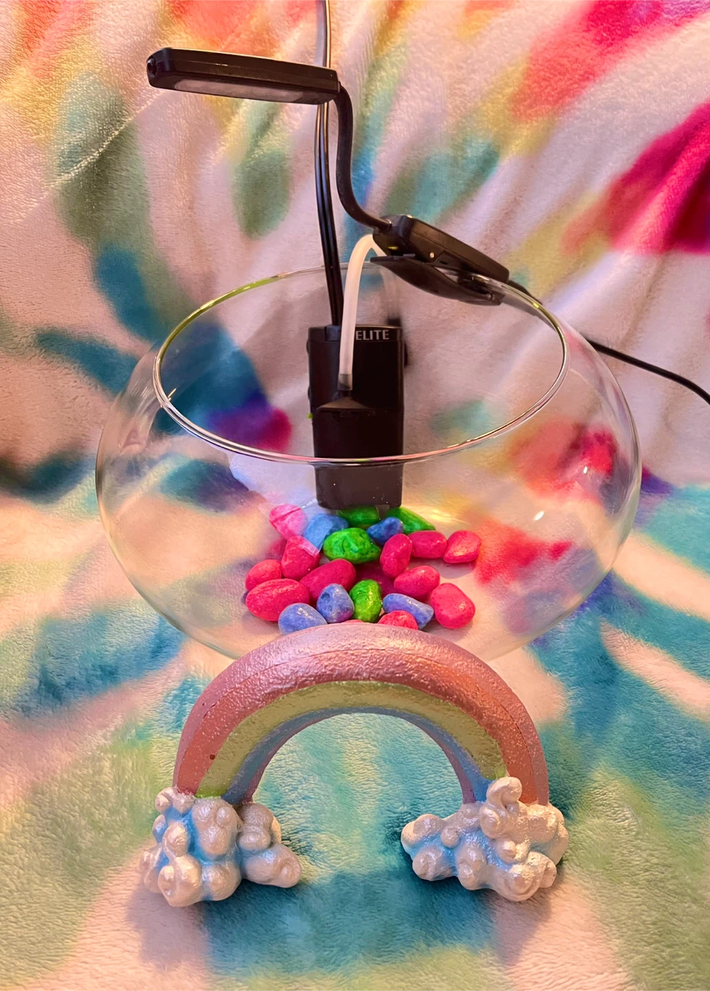 Betta Bowl Full Set UP 🌈🦄🐠! - photo 2
