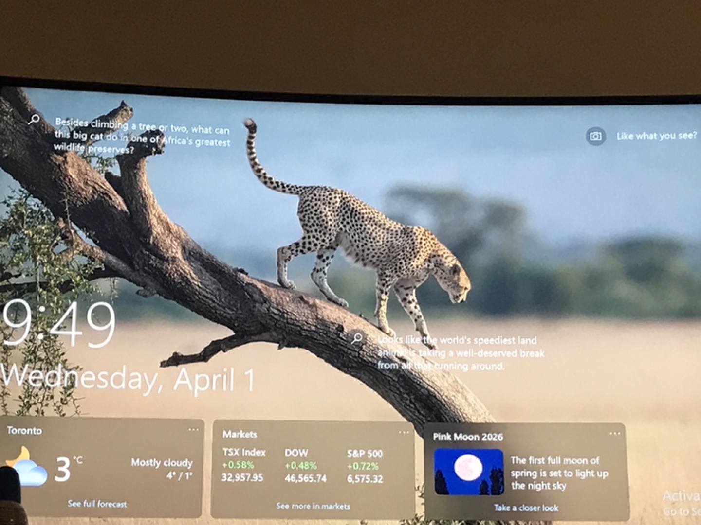 Desktop Computer -8GB RAM,   GTX 1650