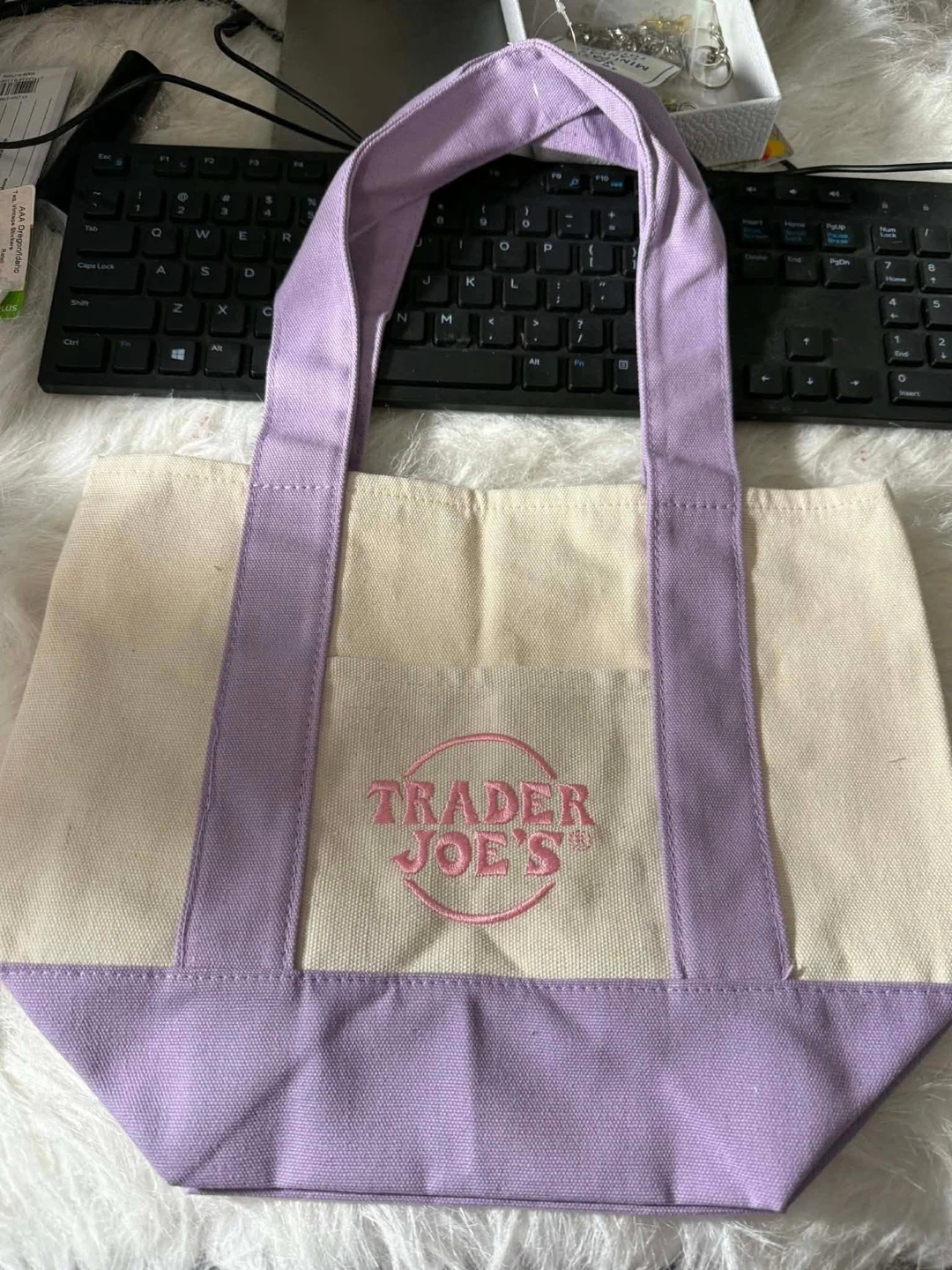 Trader Joe's Mini Pastel Canvas Tote Bag