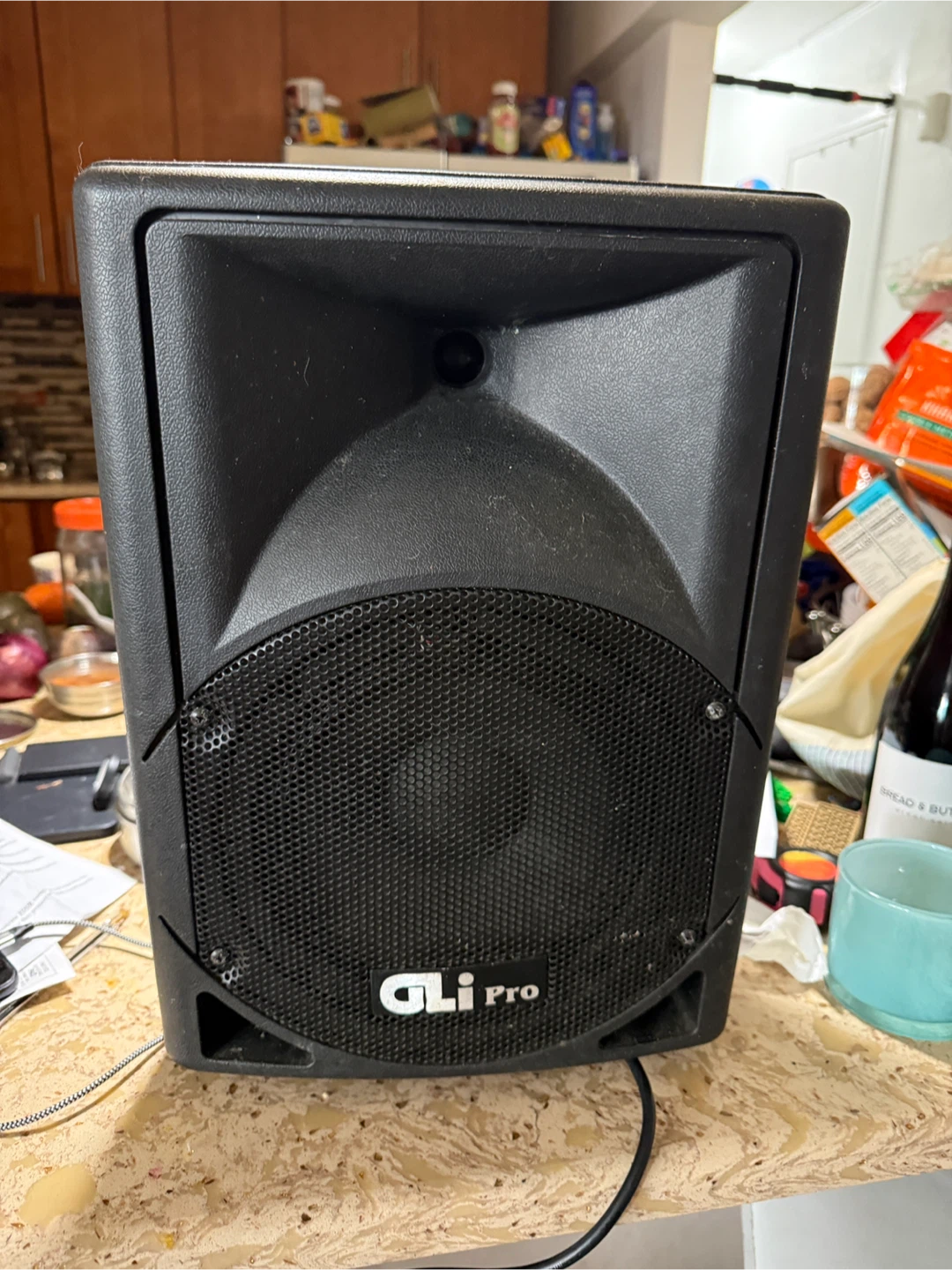 GLI Pro PA Speaker 600 Watt
