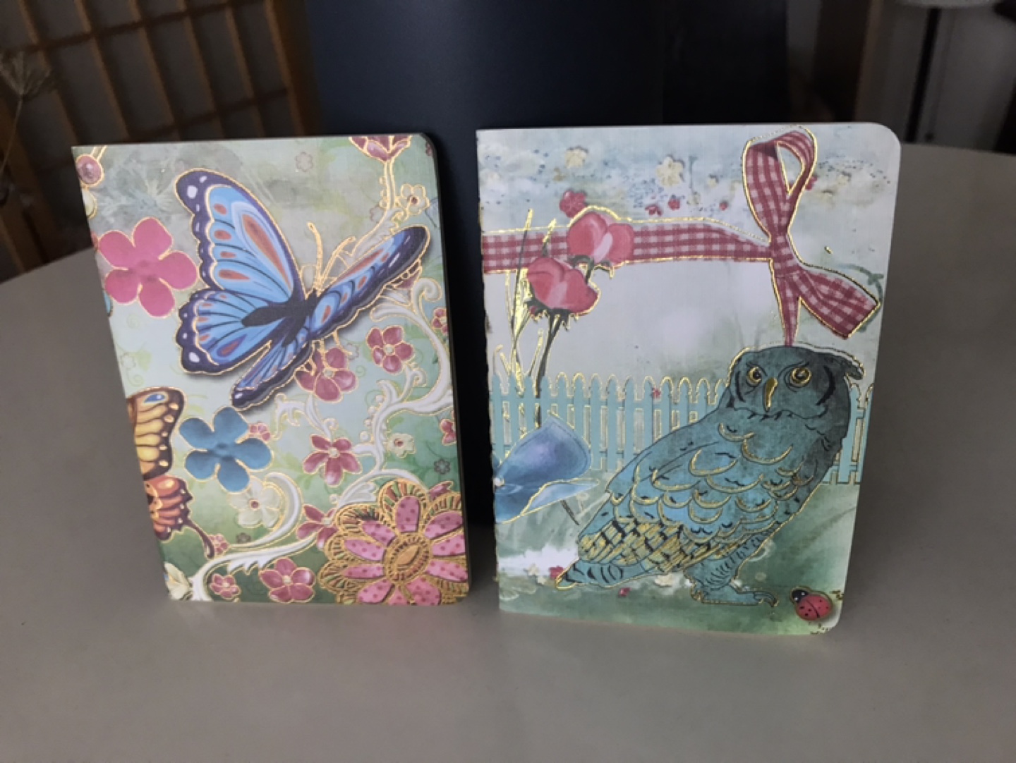 2 Beautiful Notebooks/Journals/Stationery🦋🦉🐞 🌸