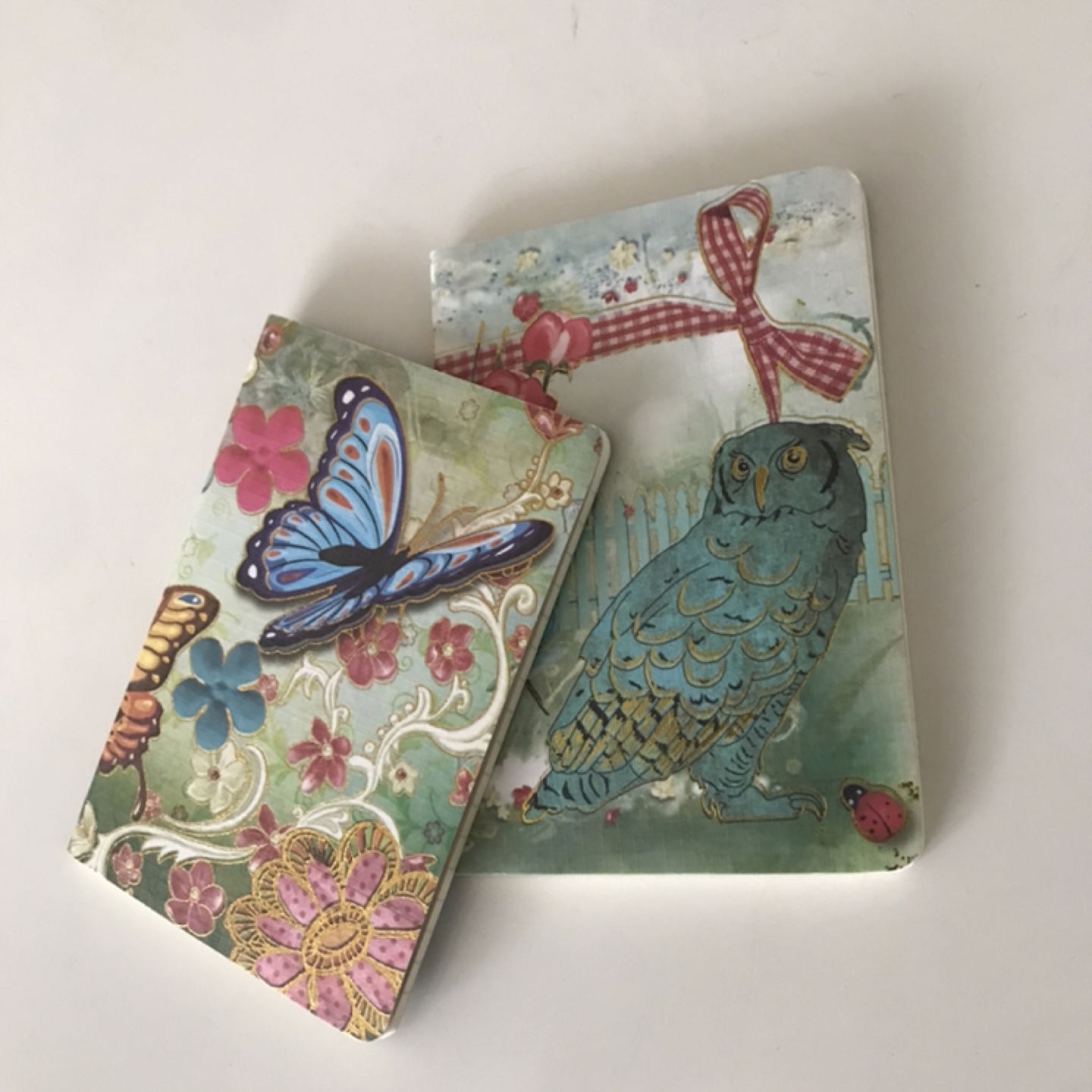 2 Beautiful Notebooks/Journals/Stationery🦋🦉🐞 🌸 - photo 4