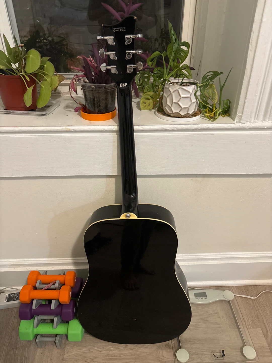 ESP LTD Xtone Series Acoustic Guitar - photo 2