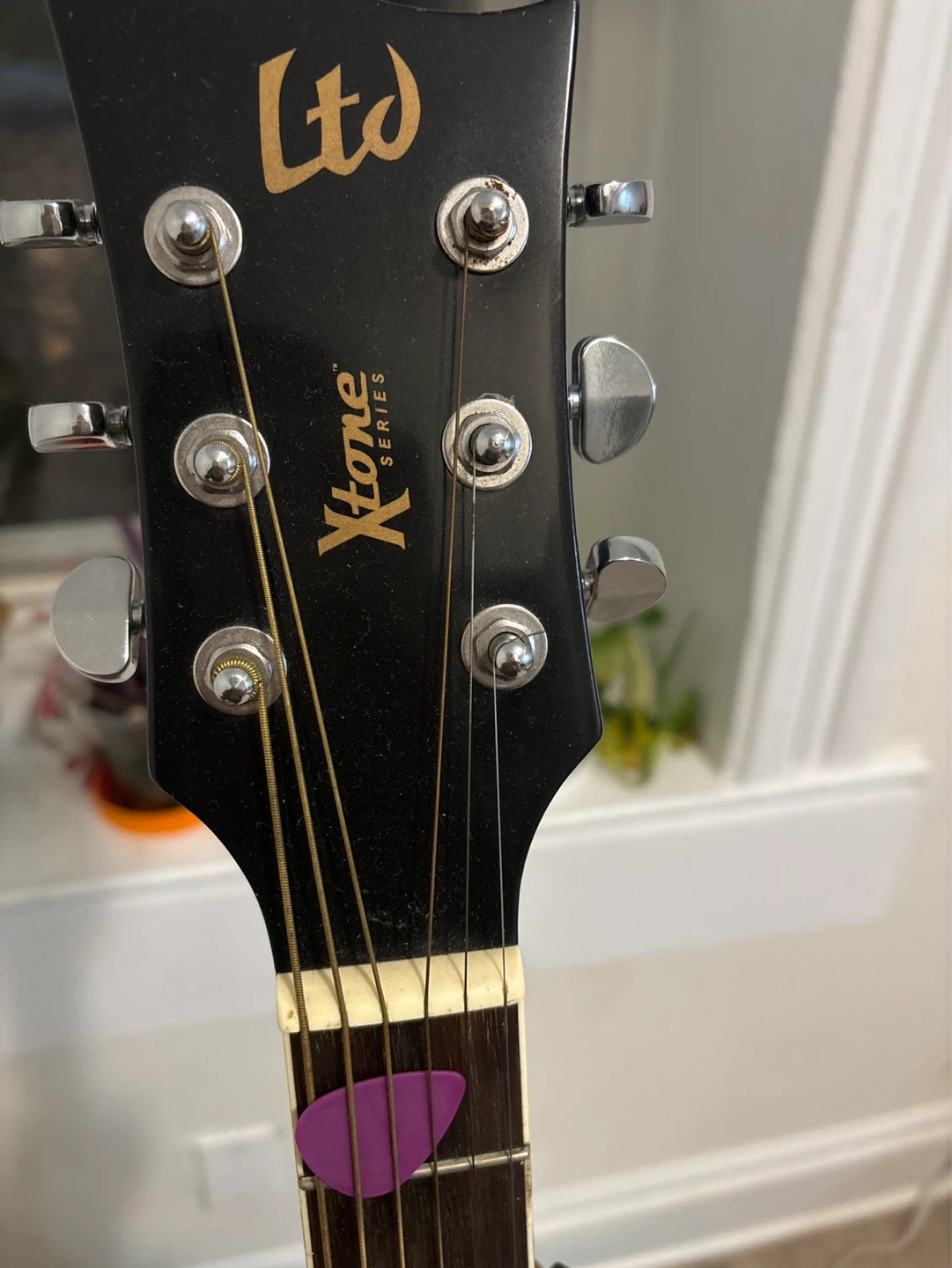 ESP LTD Xtone Series Acoustic Guitar - photo 3