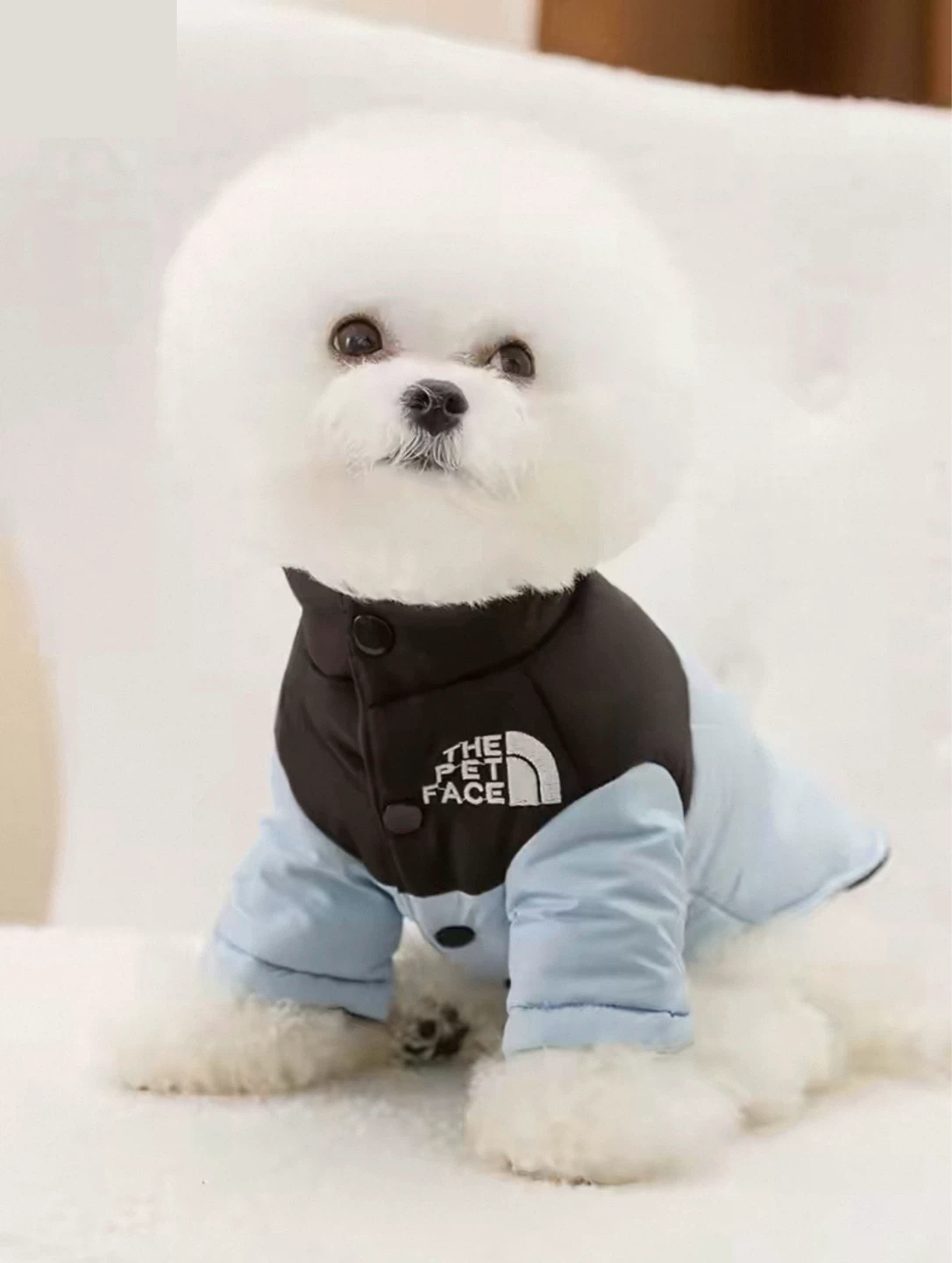 BRAND NEW 🥕 The Pet Face Dog Jacket