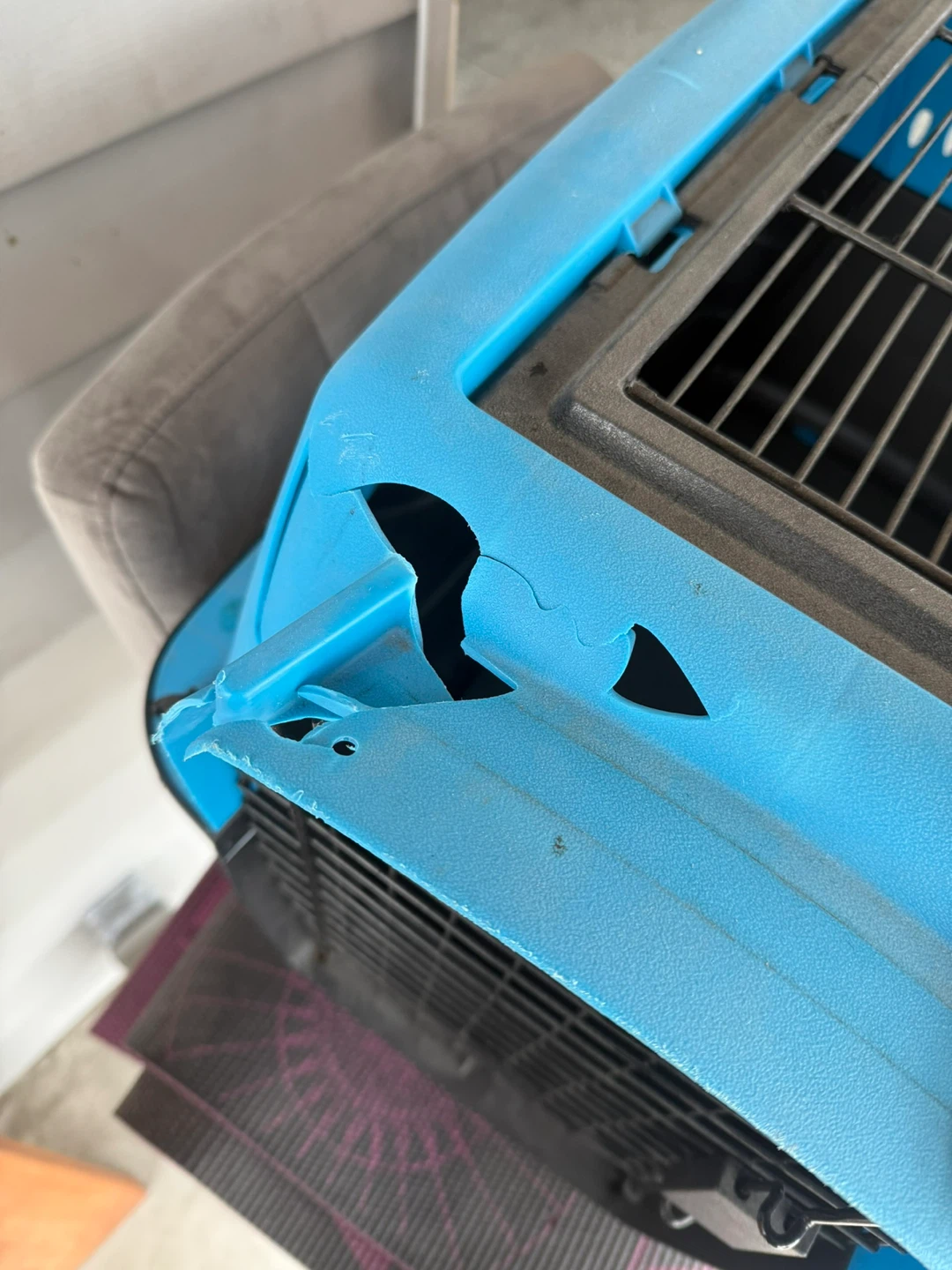Pet Carrier Dog Cat Travel Crate - photo 3