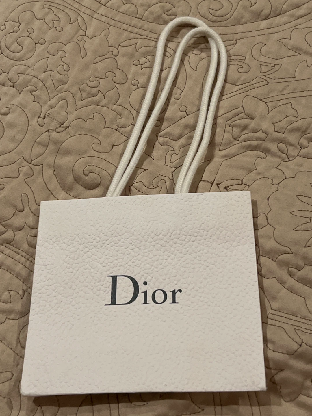 Dior Shopping Bag - photo 2