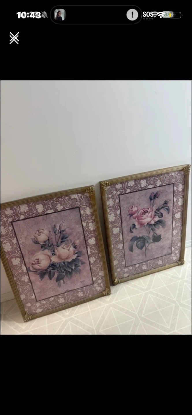 Set of 2 Vintage Rose Framed Prints