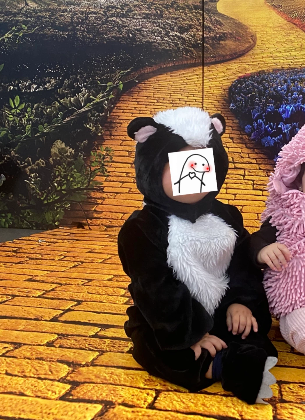 Kids Skunk Costume