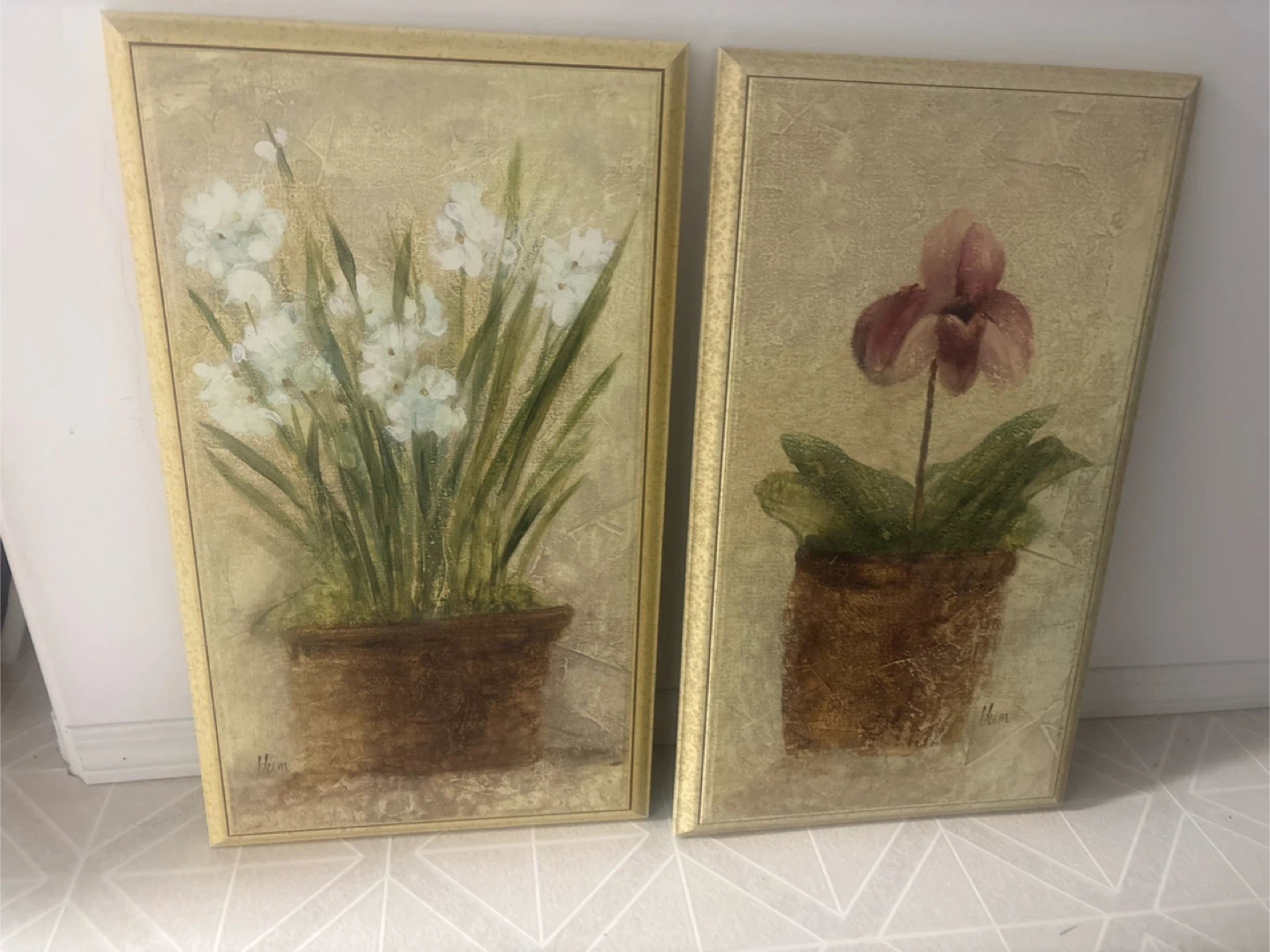 Set of 2 Framed Floral Art Prints