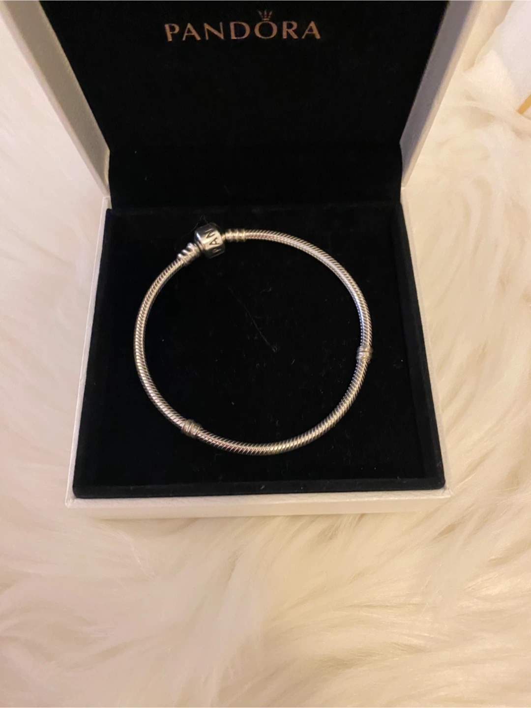 Pandora Silver Snake Chain Bracelet