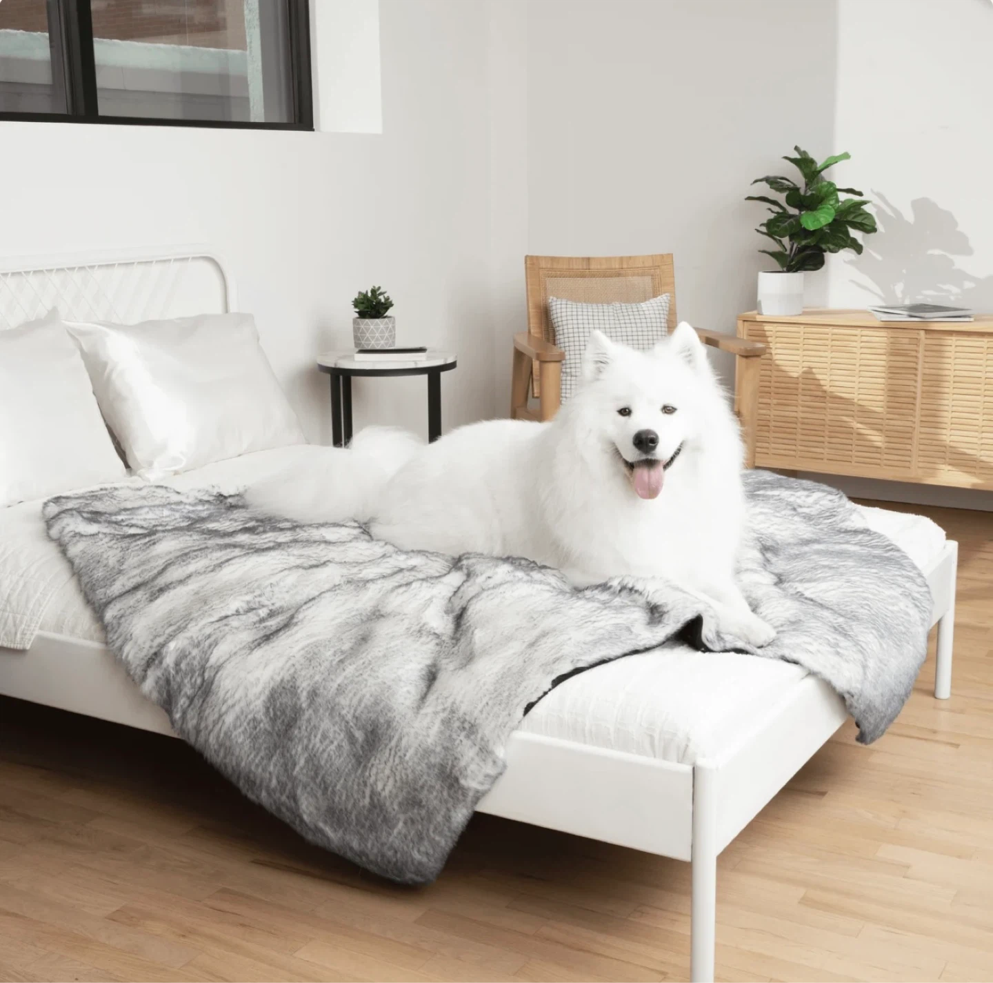 PupProtector Luxe Faux Fur Waterproof Blanket Arctic Fox