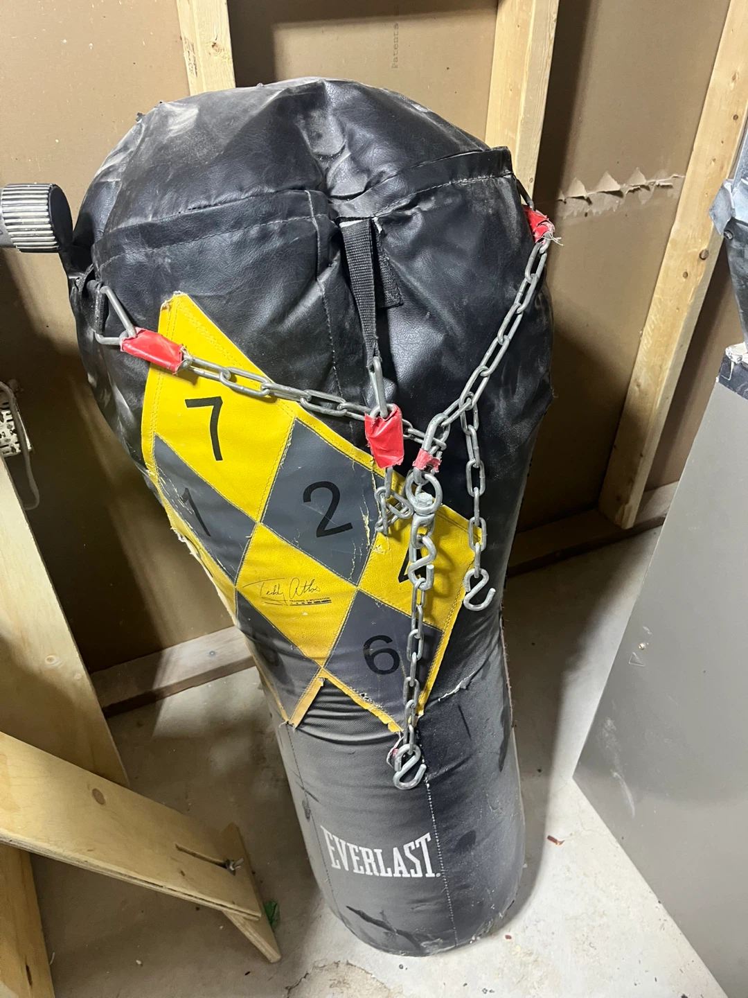 Everlast Punching Bag with Chains