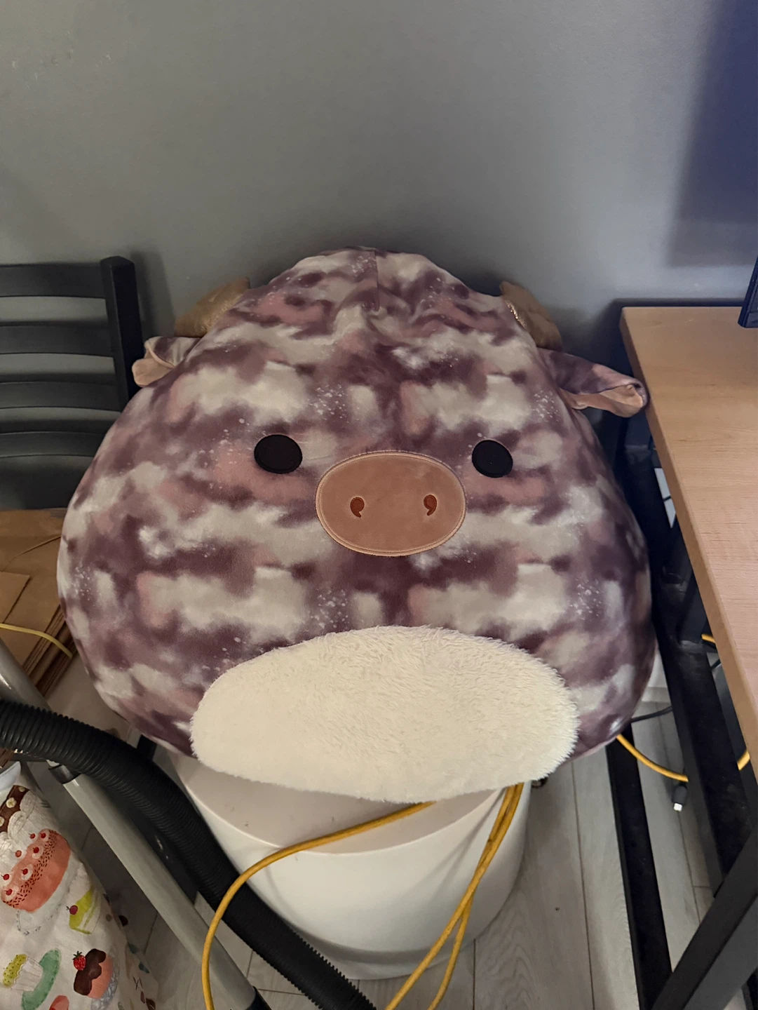 Large Plush Toy