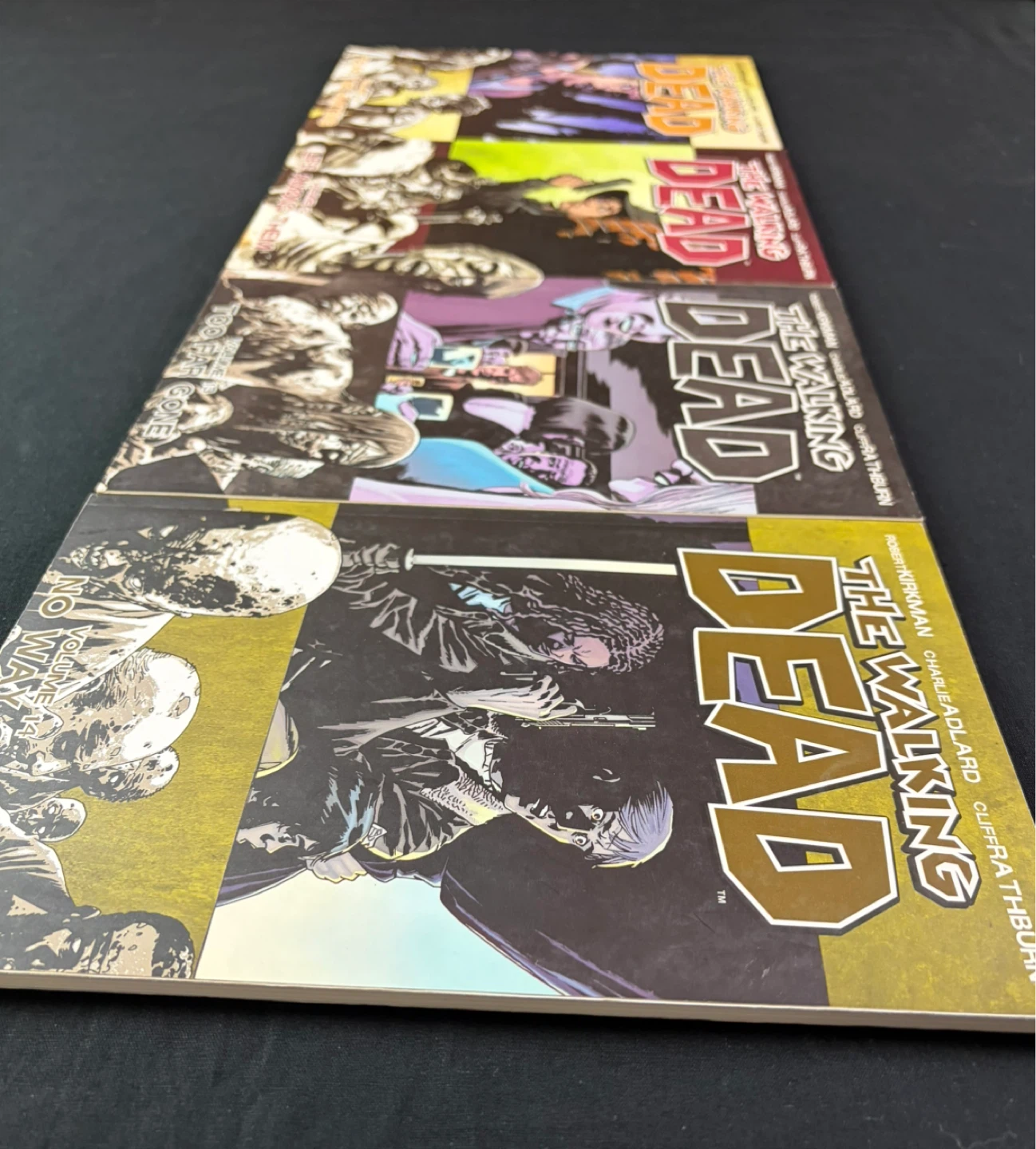 The Walking Dead Vol. 11 - 14 connecting Comic Book covers - photo 4
