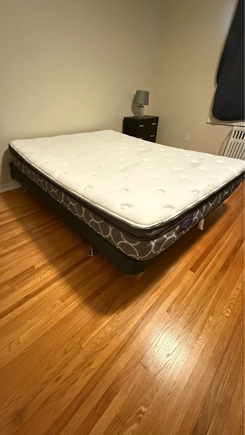 Great condition Optimum Mattress box spring and frame