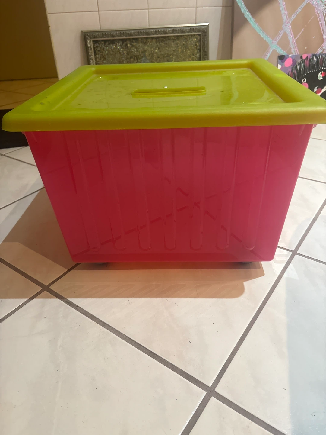 Plastic Storage Bin with Lid - Pink and Green