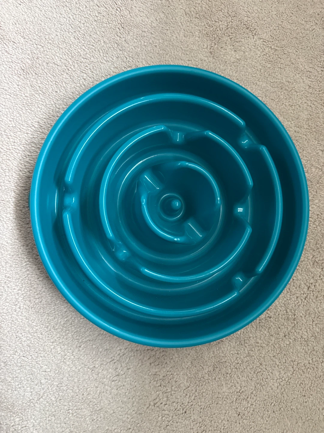 Teal Pet Slow Feeder Bowl