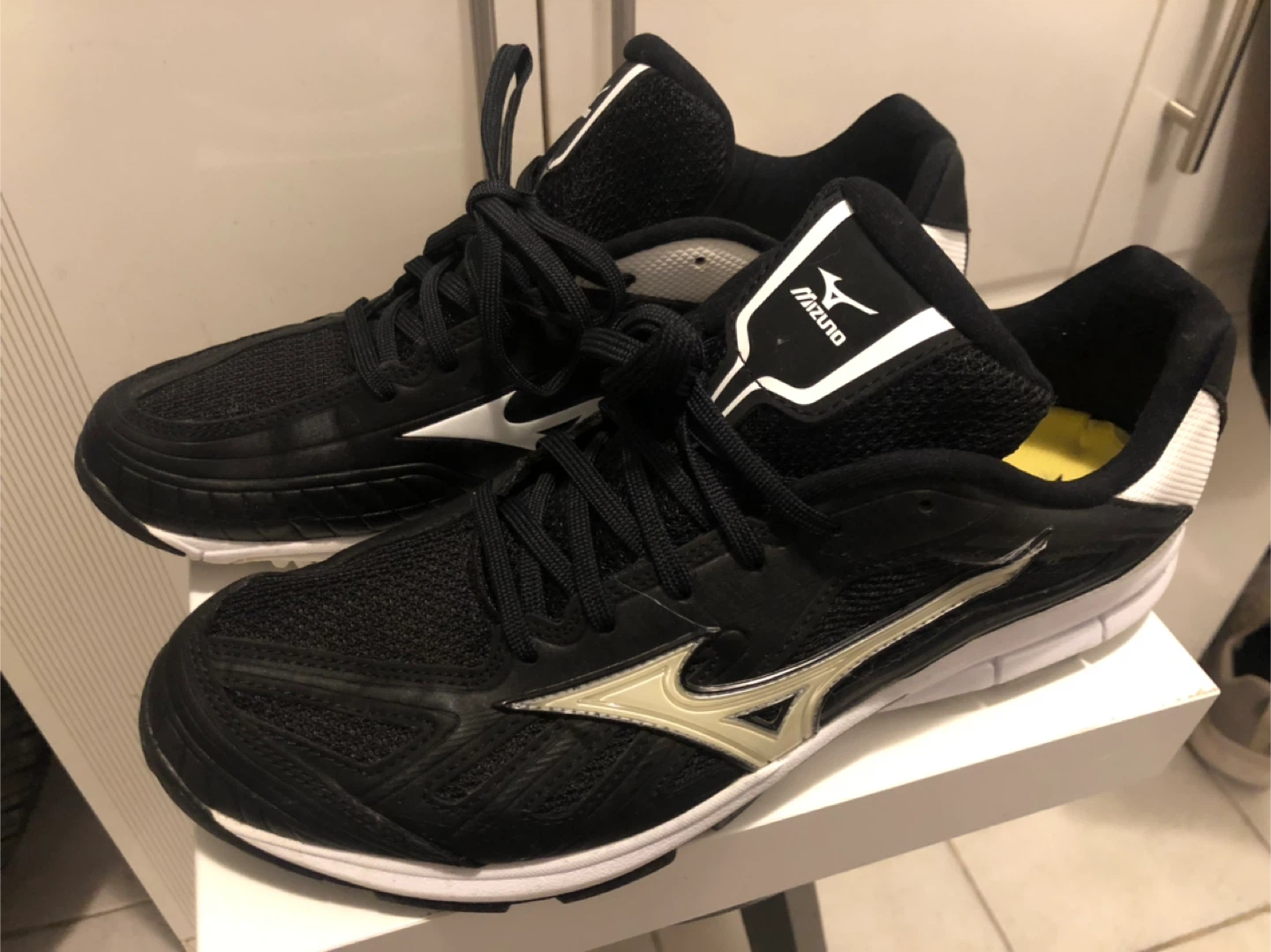 Mizuno Running Shoes