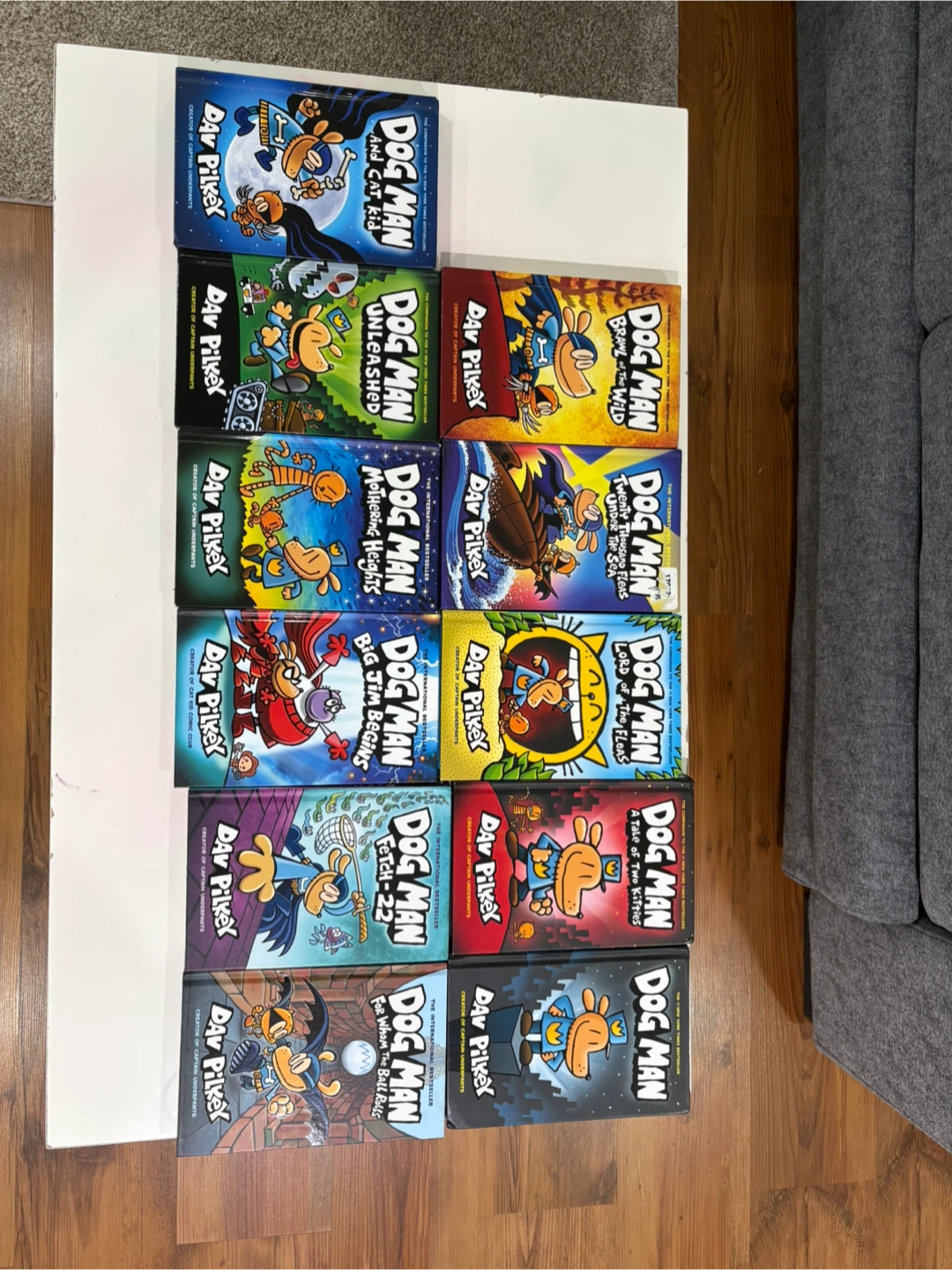 Dog Man Book Series by Dav Pilkey