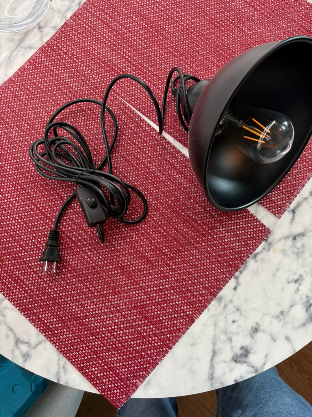 Industrial style Swag  Lamp with Edison Bulb
