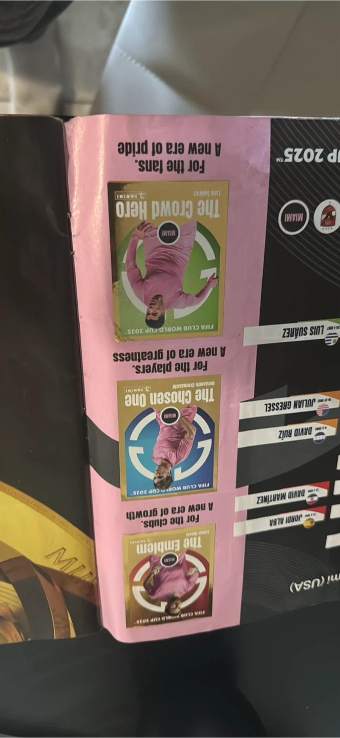 Panini FIFA Club World Cup 2025 Sticker Album - photo 4