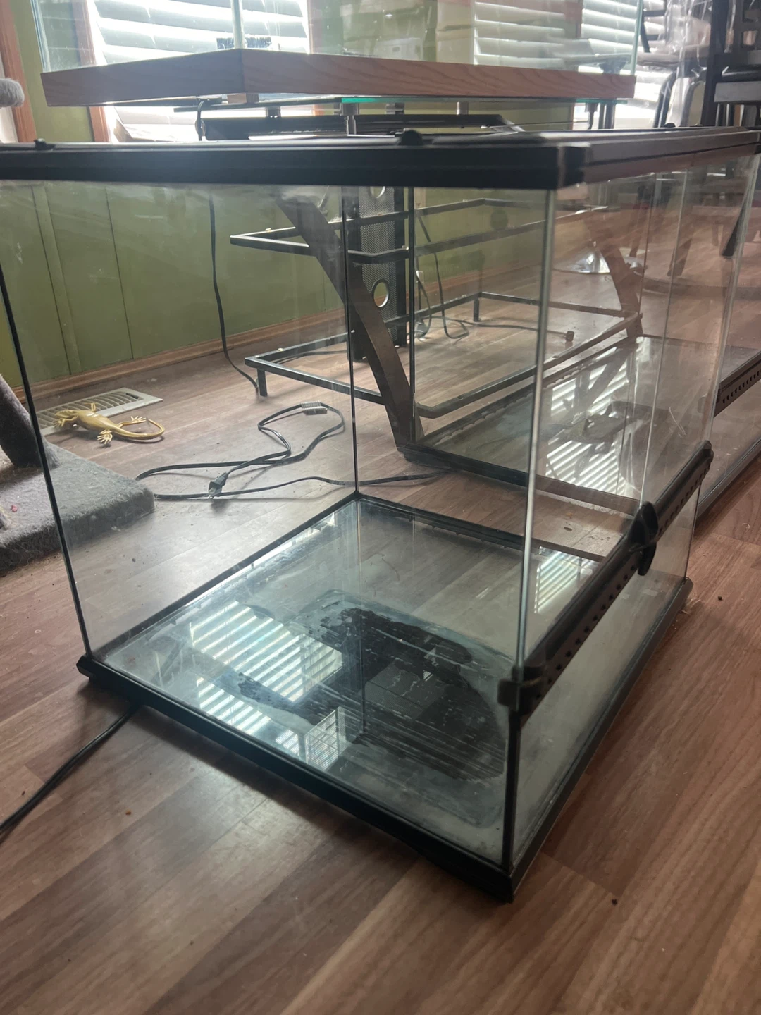 Glass Terrarium Tank