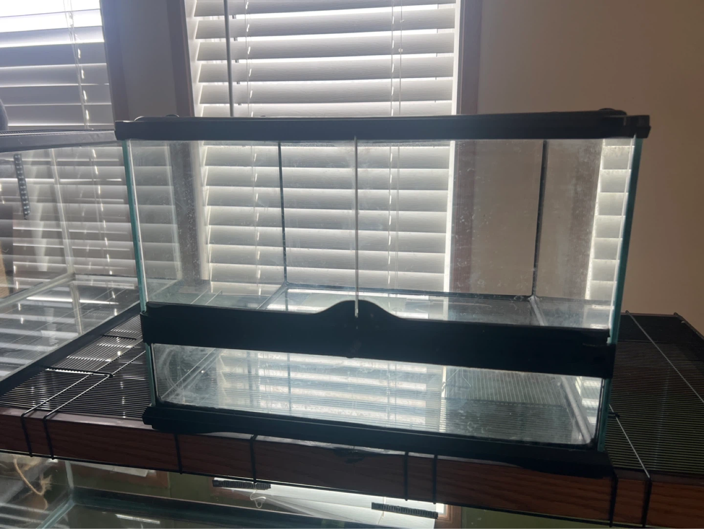 Glass Terrarium Tank 17.5 x 17.5 x 11.5