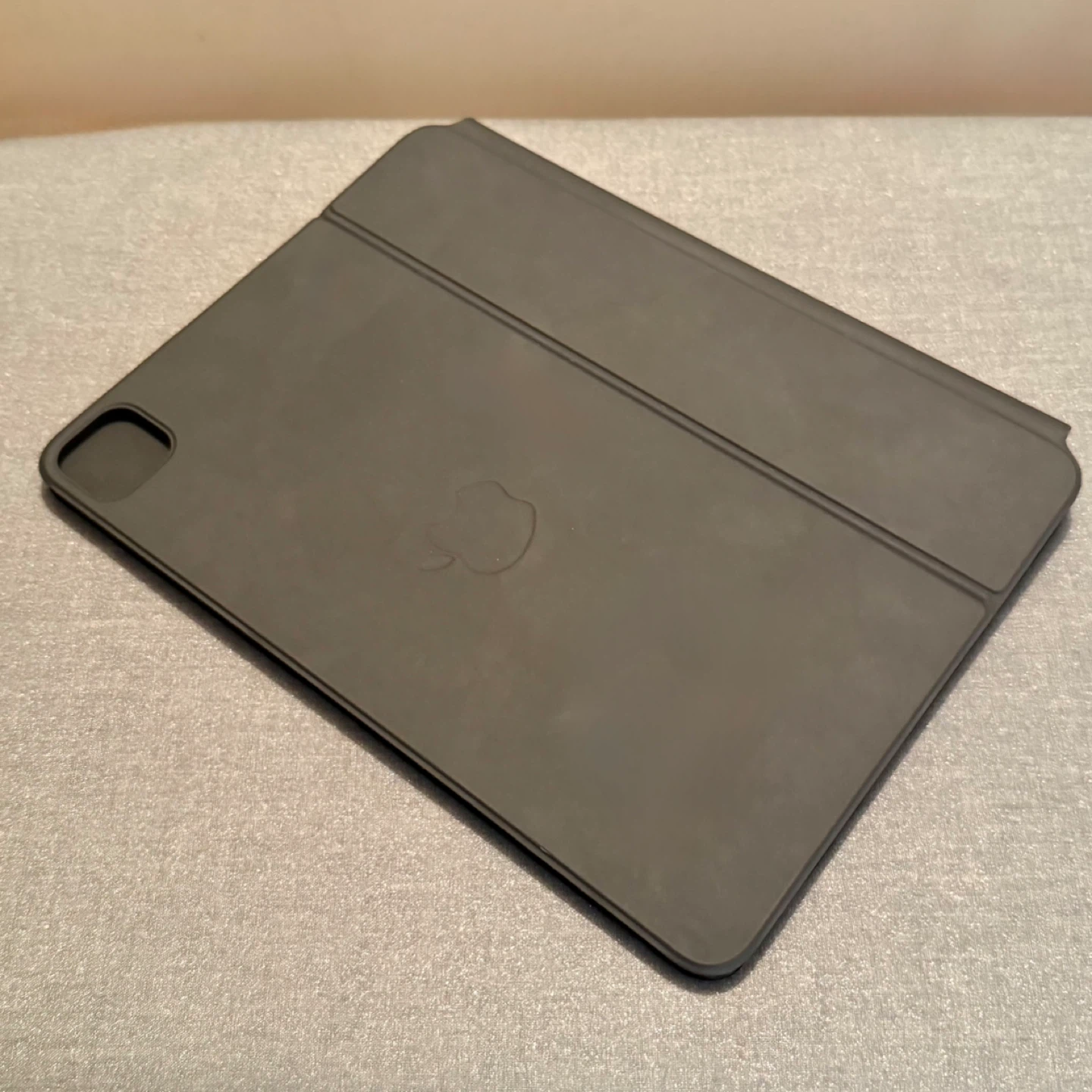 iPad Pro 11” M1 3rd Gen (1TB) + Magic Keyboard - photo 3