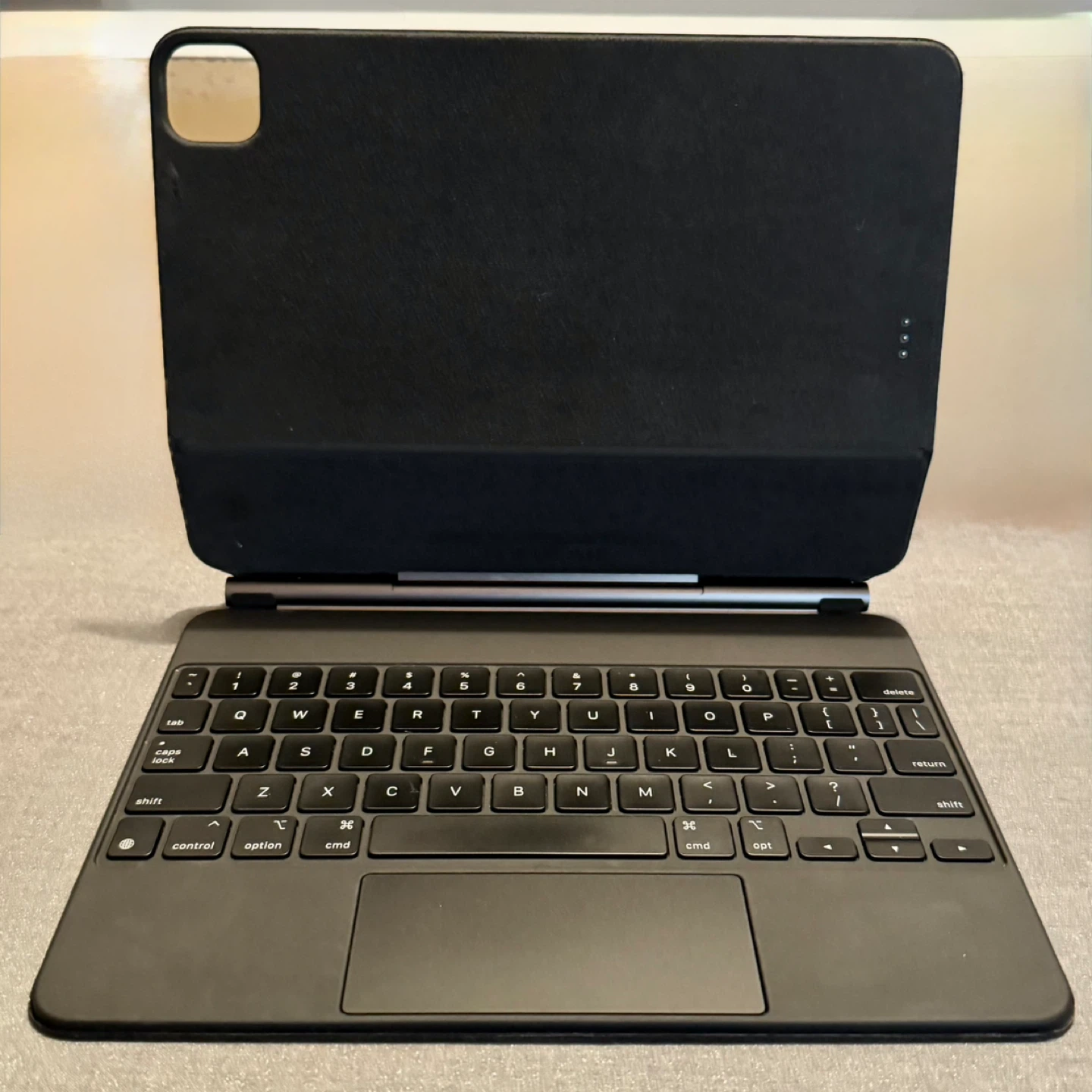 iPad Pro 11” M1 3rd Gen (1TB) + Magic Keyboard - photo 5