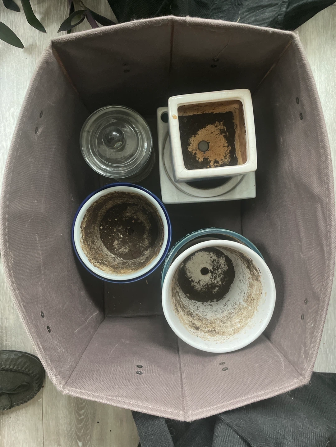 Assorted plant pots