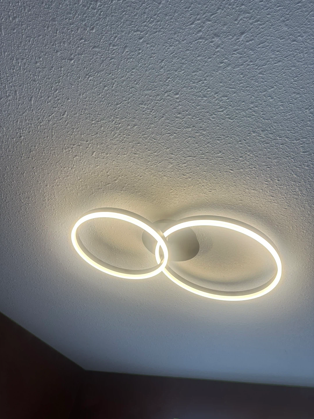 Light fixture
