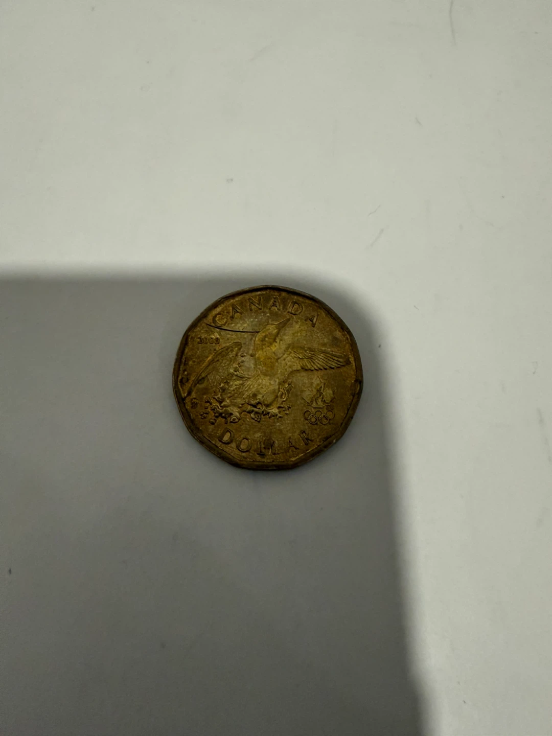 Collection of Canadian Loonies - photo 4