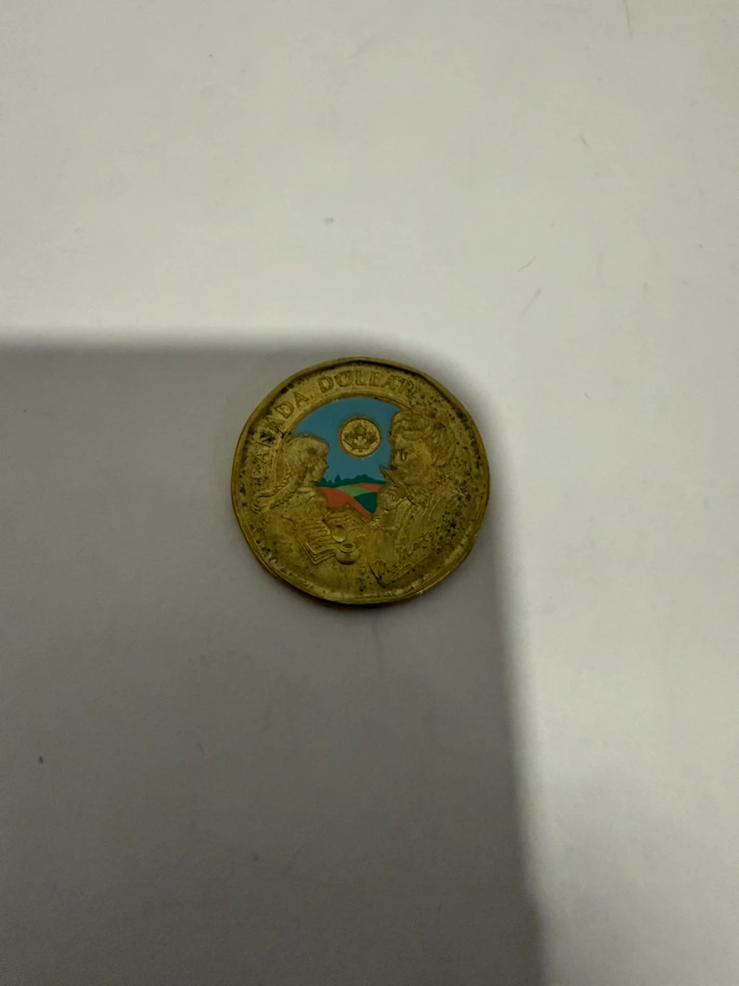 Collection of Canadian Loonies - photo 5