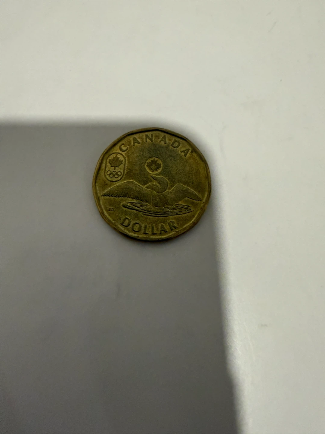 Collection of Canadian Loonies - photo 3