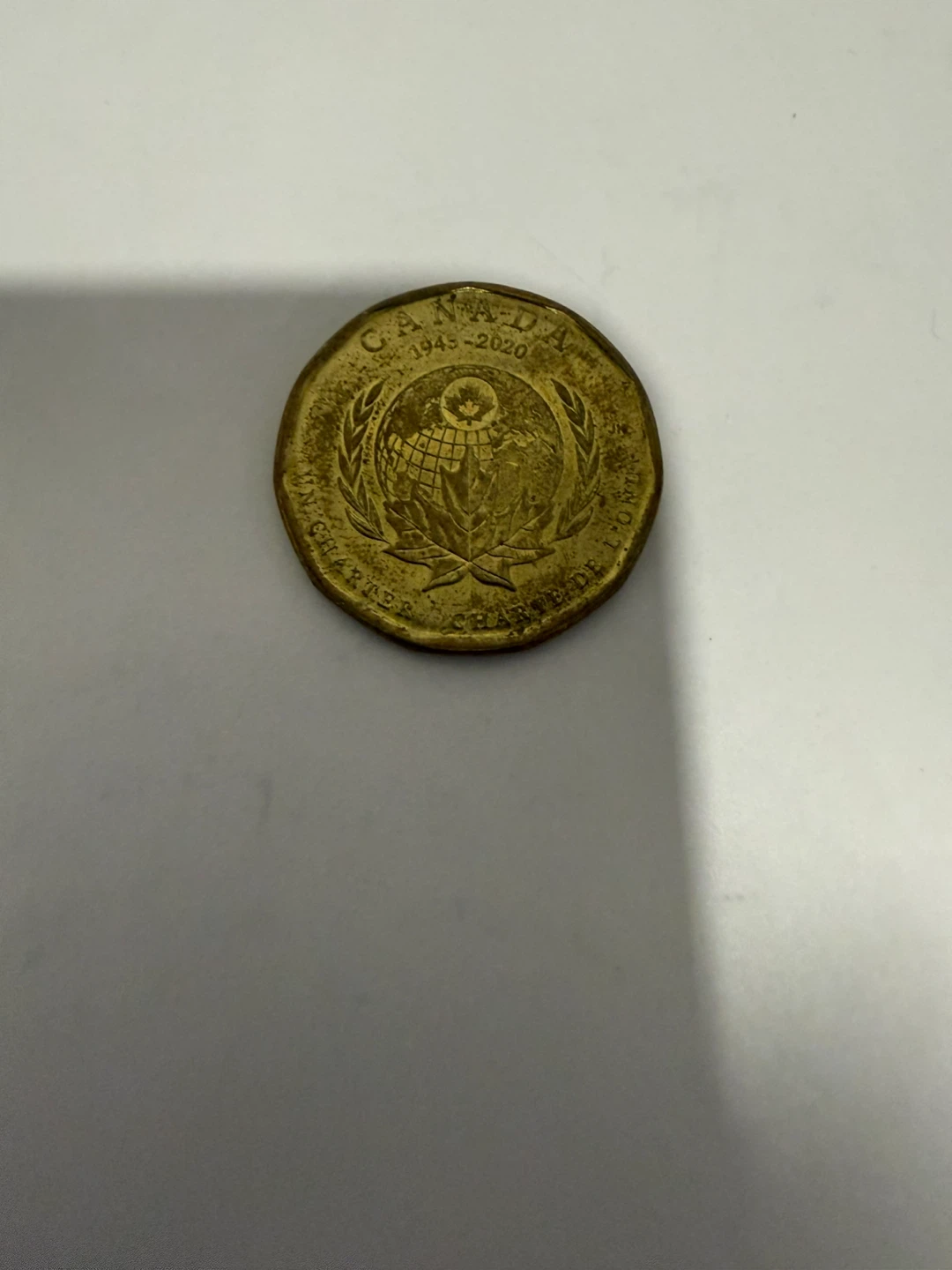 Collection of Canadian Loonies - photo 2