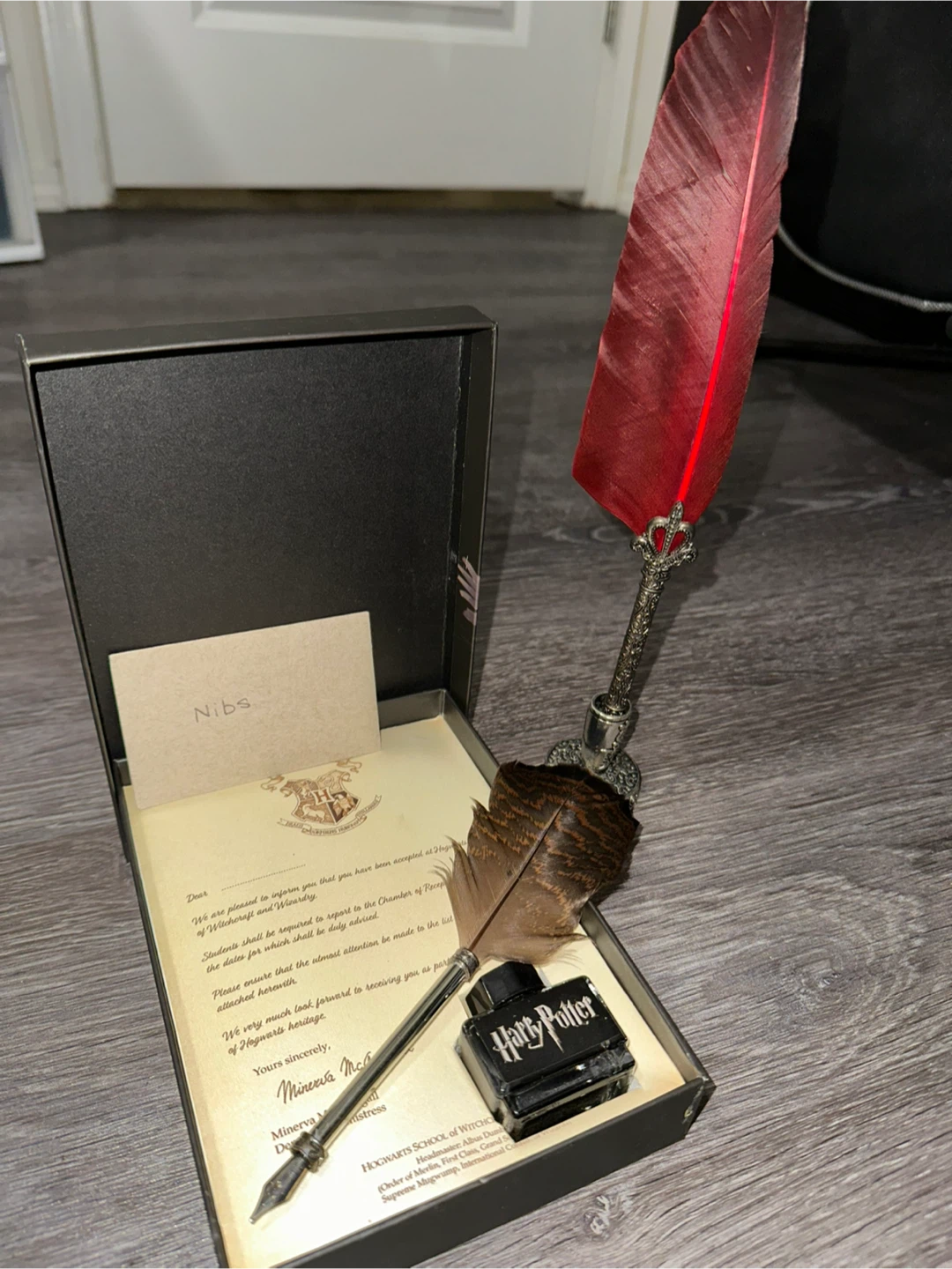 Harry Potter Quill Pen and Ink Set